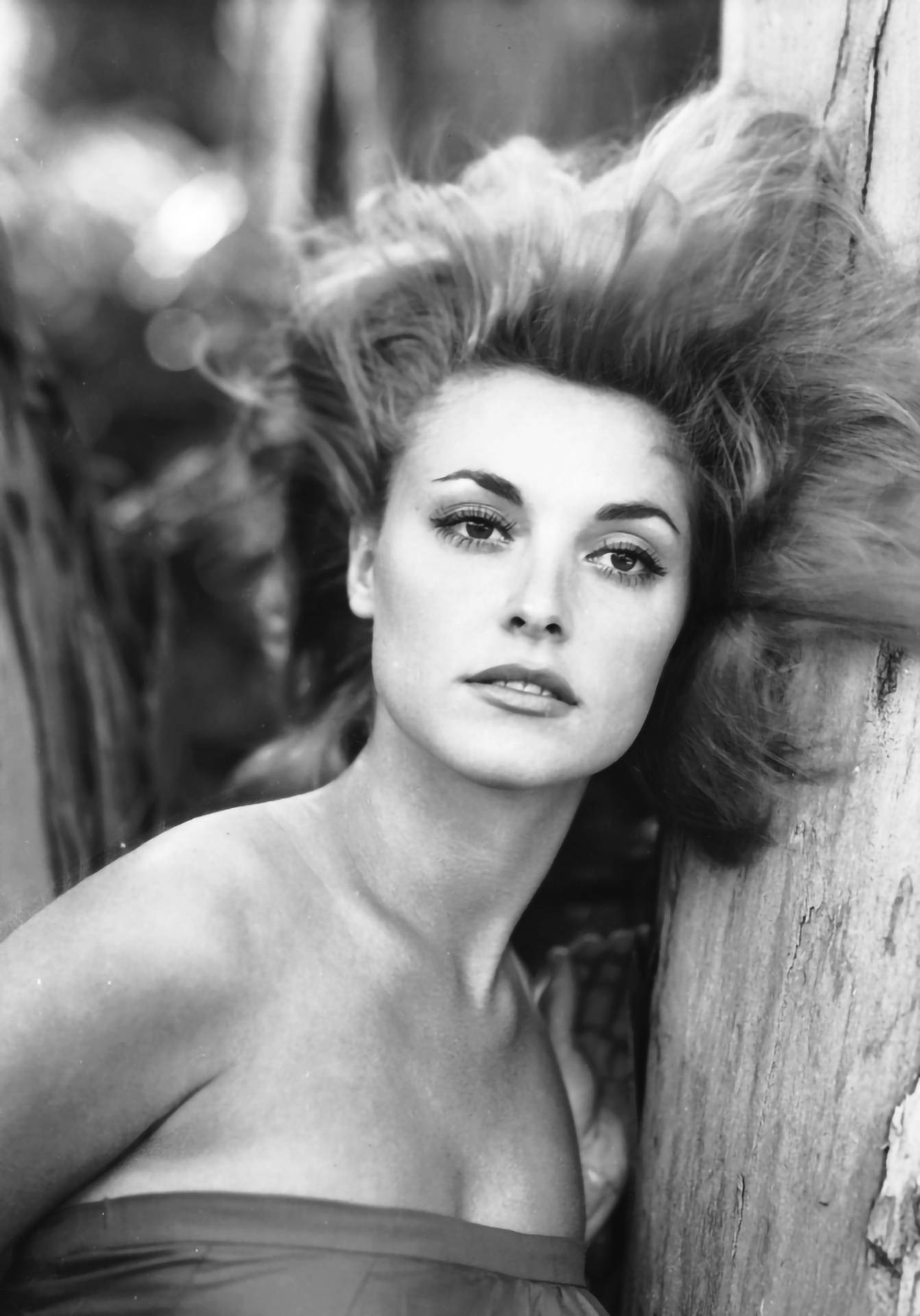 Sharon Tate, voluminous hair, black and white portrait, Full HD Phone Wallpaper