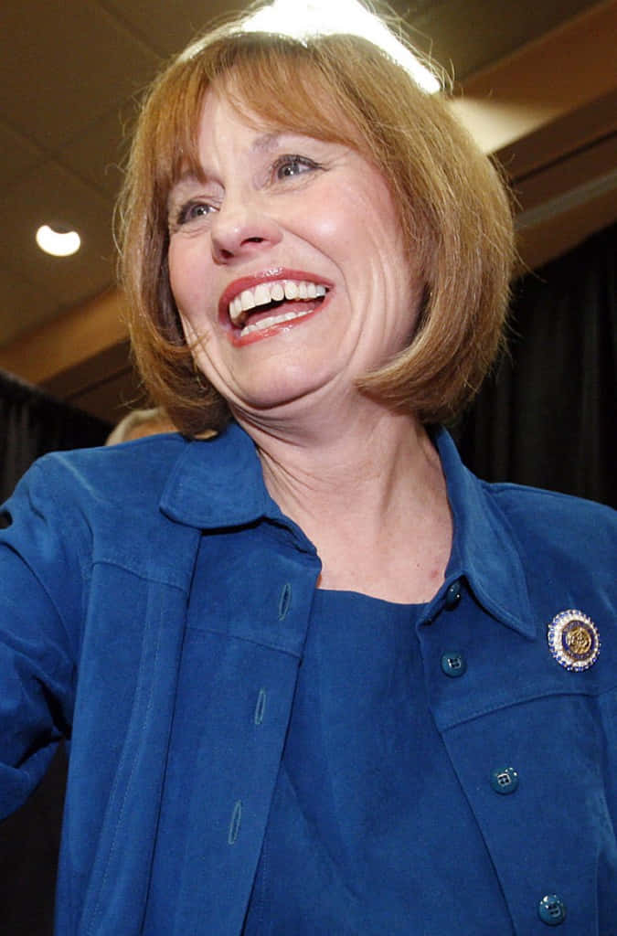 Sharron Angle, reddish-brown hair, blue button-up shirt, SD Phone Wallpaper