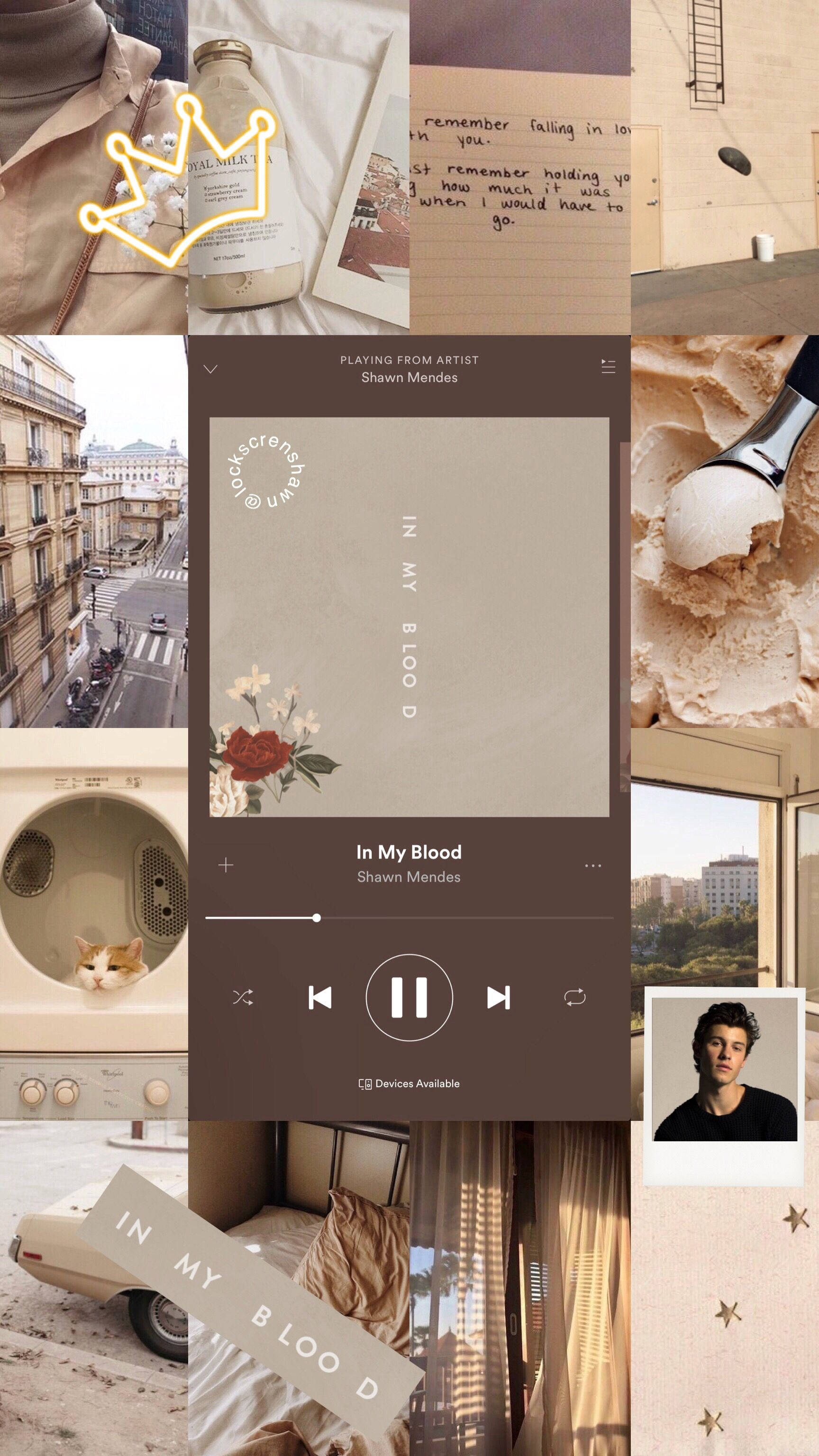 brown aesthetic, Shawn Mendes, vintage items, 2K Phone Wallpaper