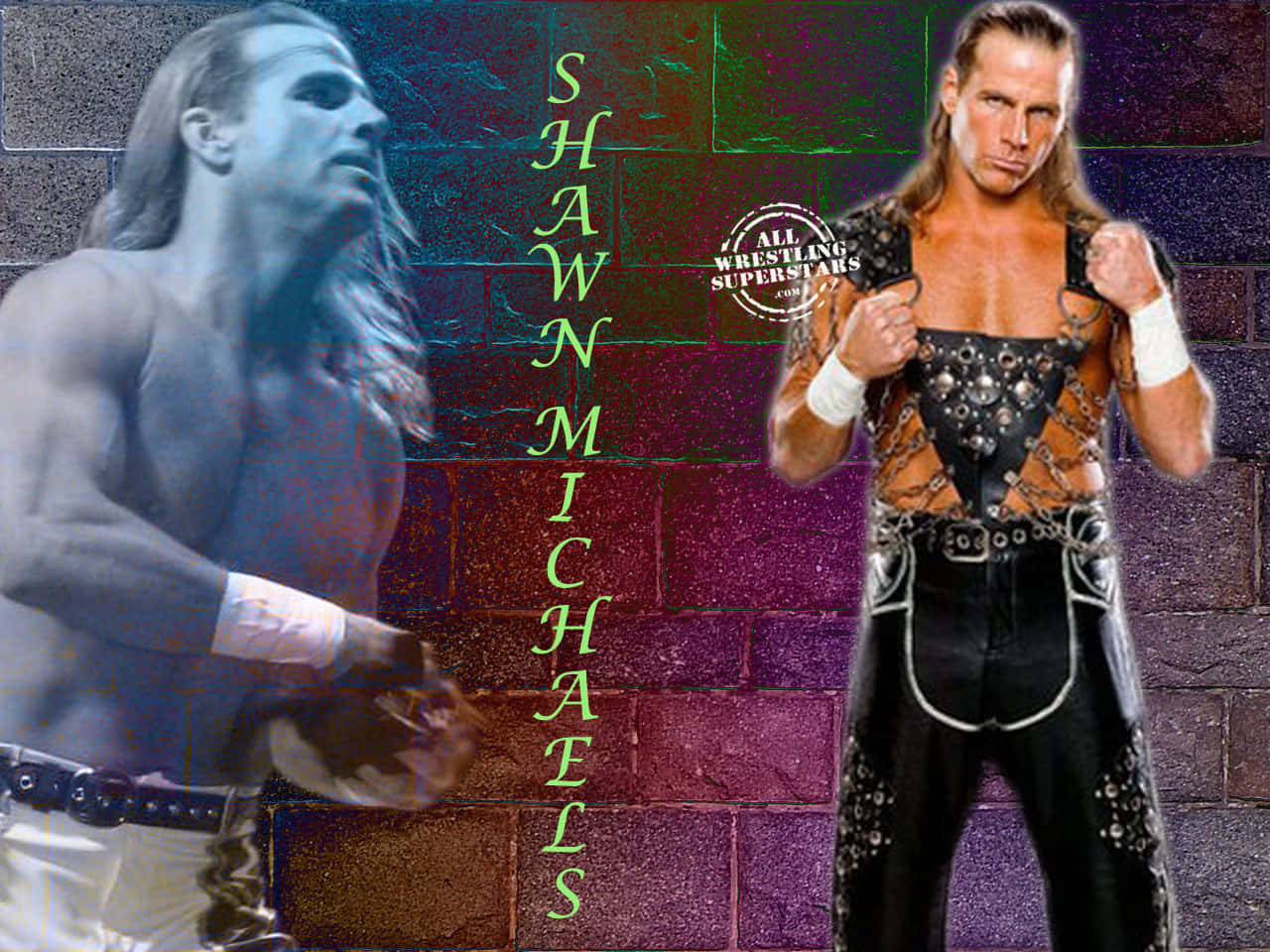 Shawn Michaels, wrestling superstar, colorful brick wall, HD Desktop Wallpaper