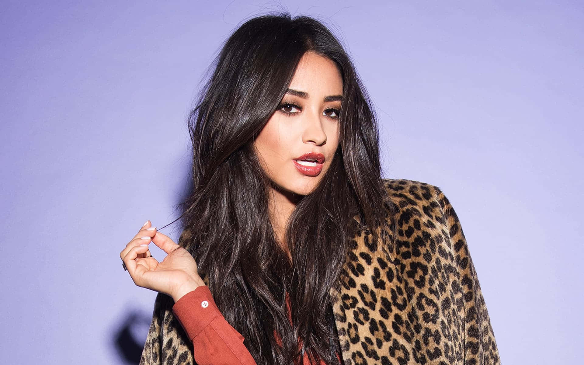 Shay Mitchell, leopard print jacket, soft purple background, Full HD Desktop Wallpaper
