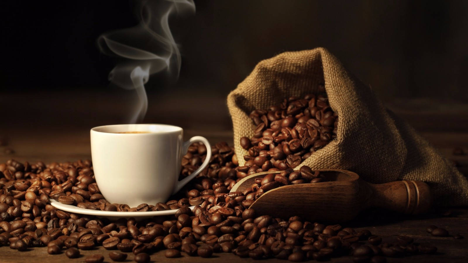 Sheesh, coffee cup, roasted coffee beans, HD Desktop Wallpaper