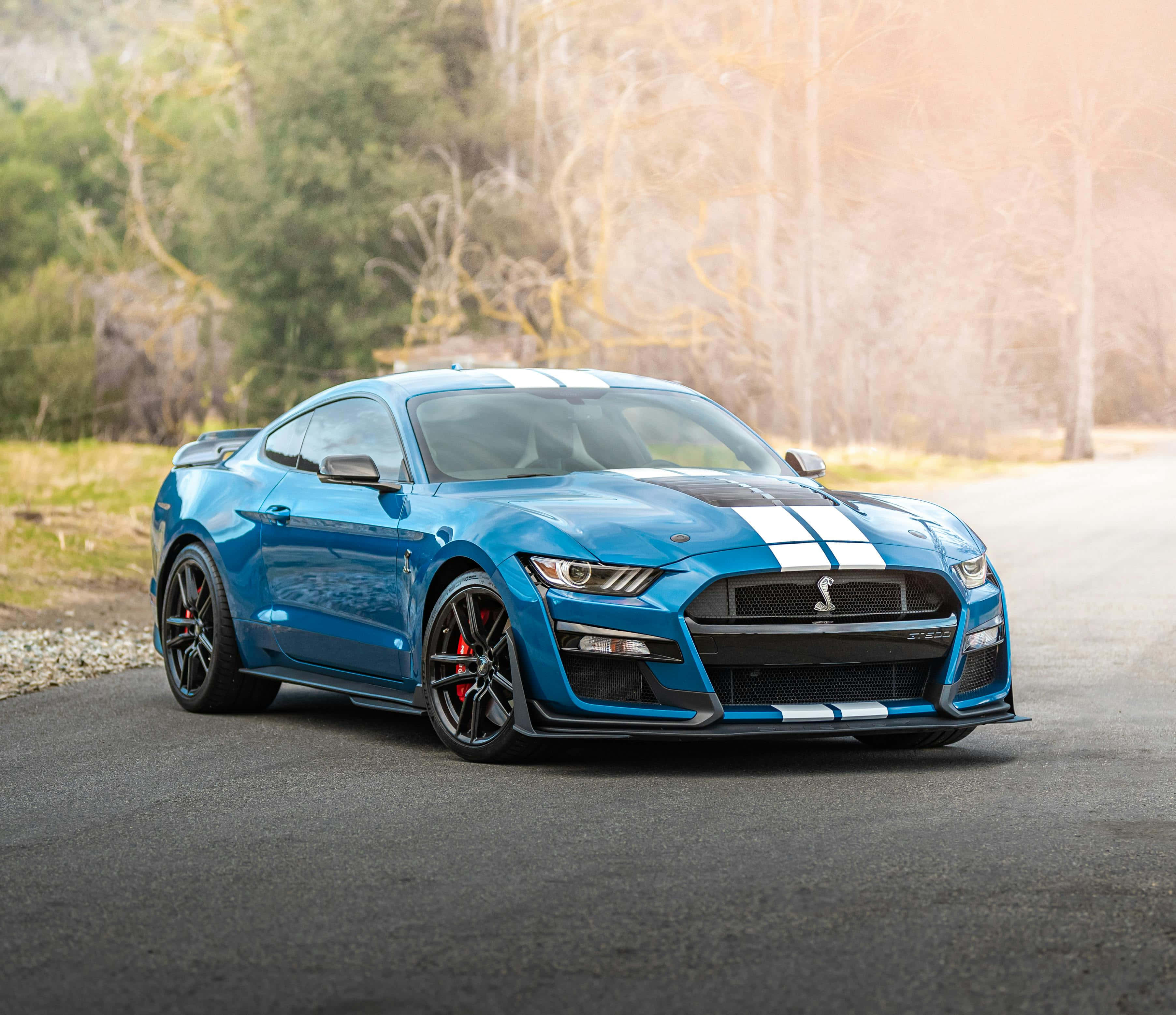 Shelby GT500, blue, white racing stripes, 2K Desktop Wallpaper