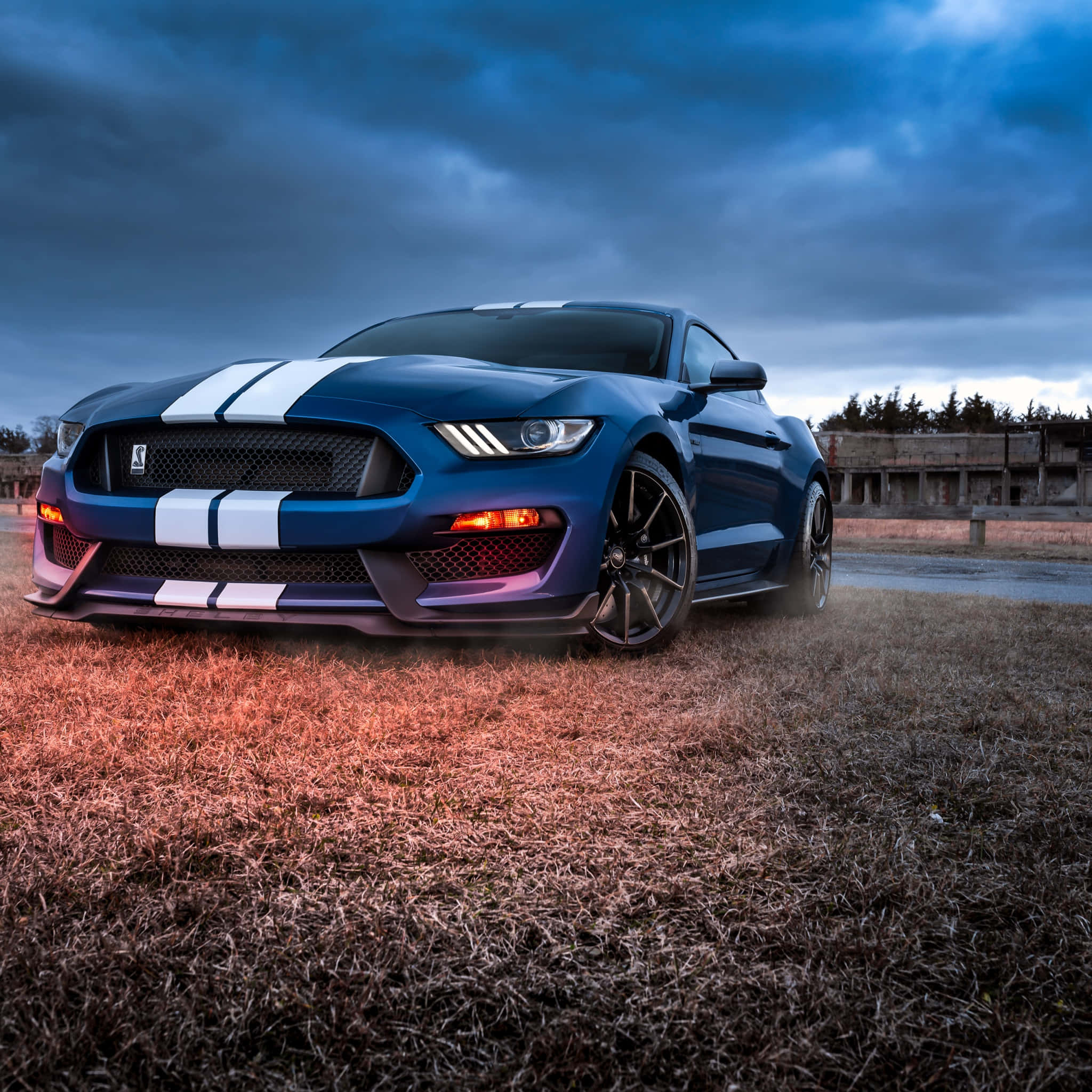 Shelby GT500, blue, white racing stripes, Full HD Desktop Wallpaper