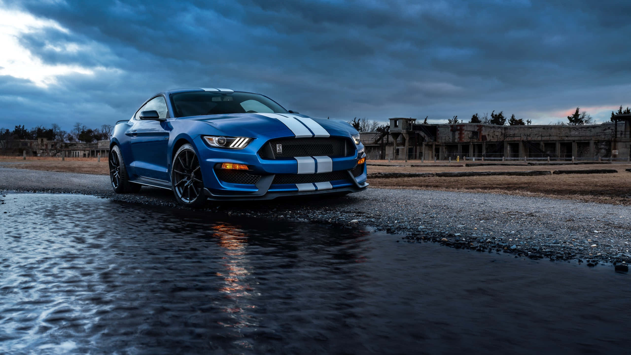 Blue Shelby GT500, wet gravel road, moody twilight sky, 2K Desktop Wallpaper