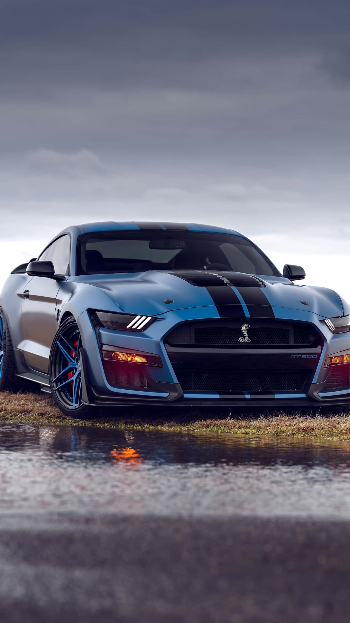 Shelby GT500, metallic blue, black racing stripes, 2K Phone Wallpaper