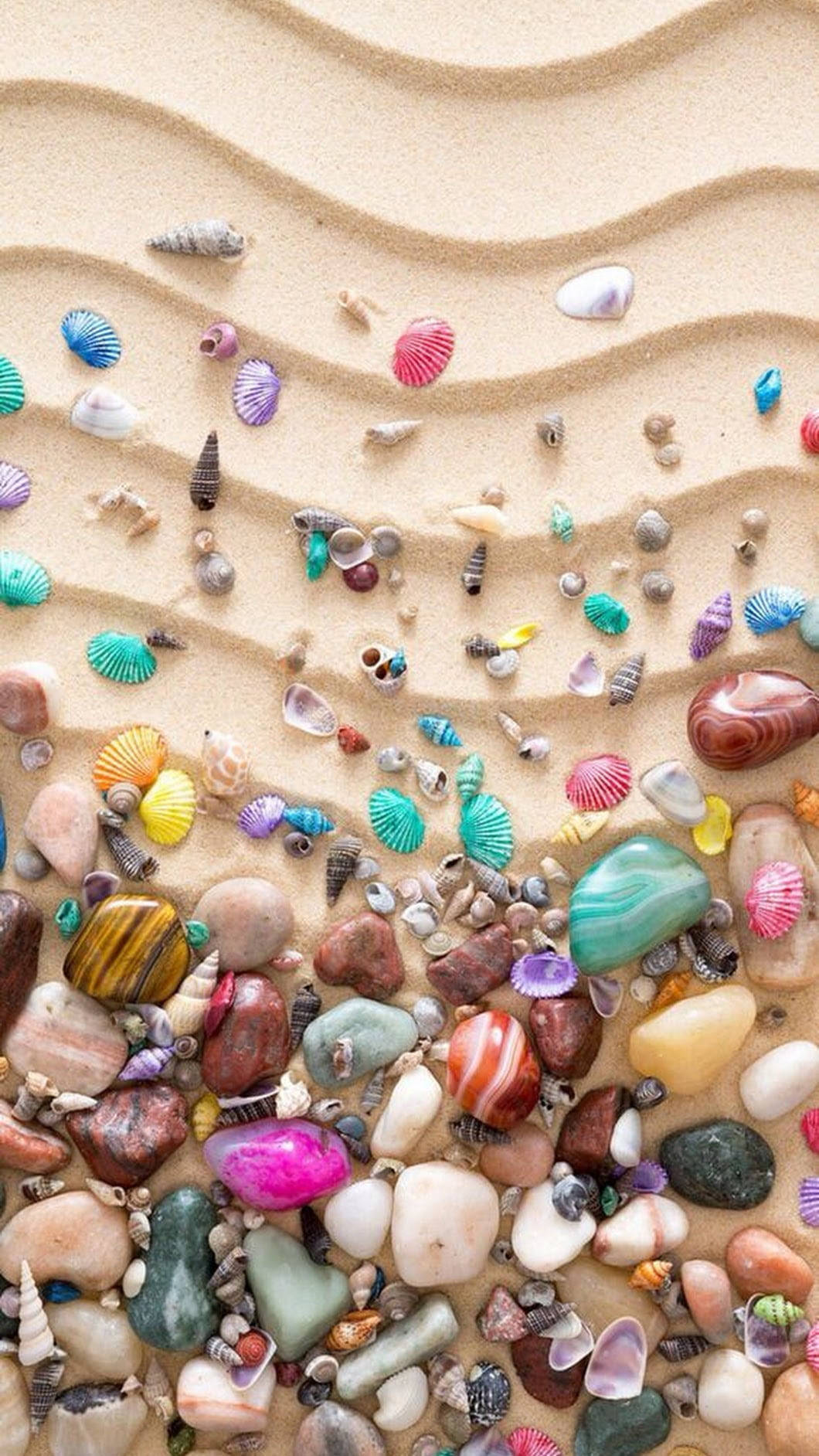 multicolor sea shells, golden sand, polished stones, HD Phone Wallpaper