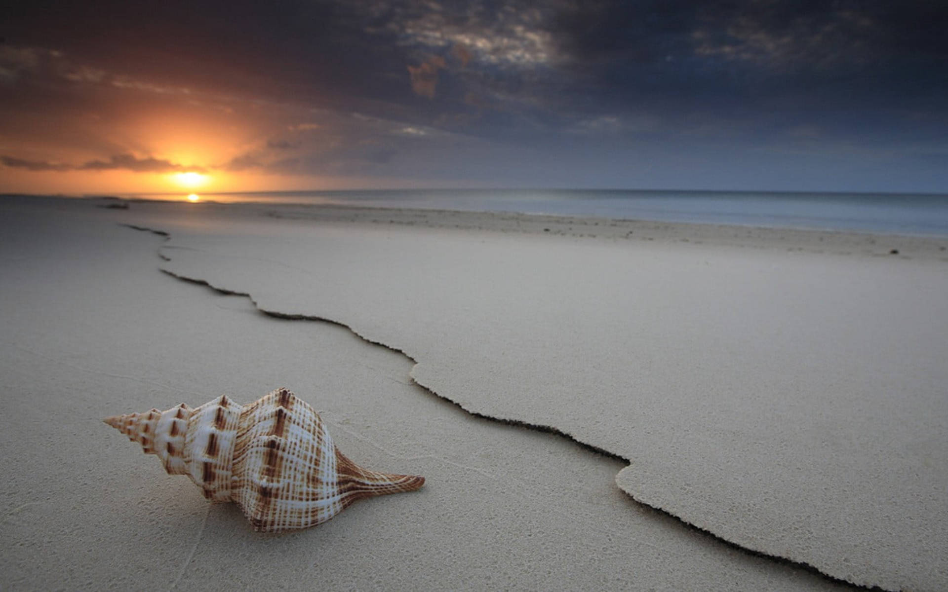 shell, beach, sunset, Full HD Desktop Wallpaper
