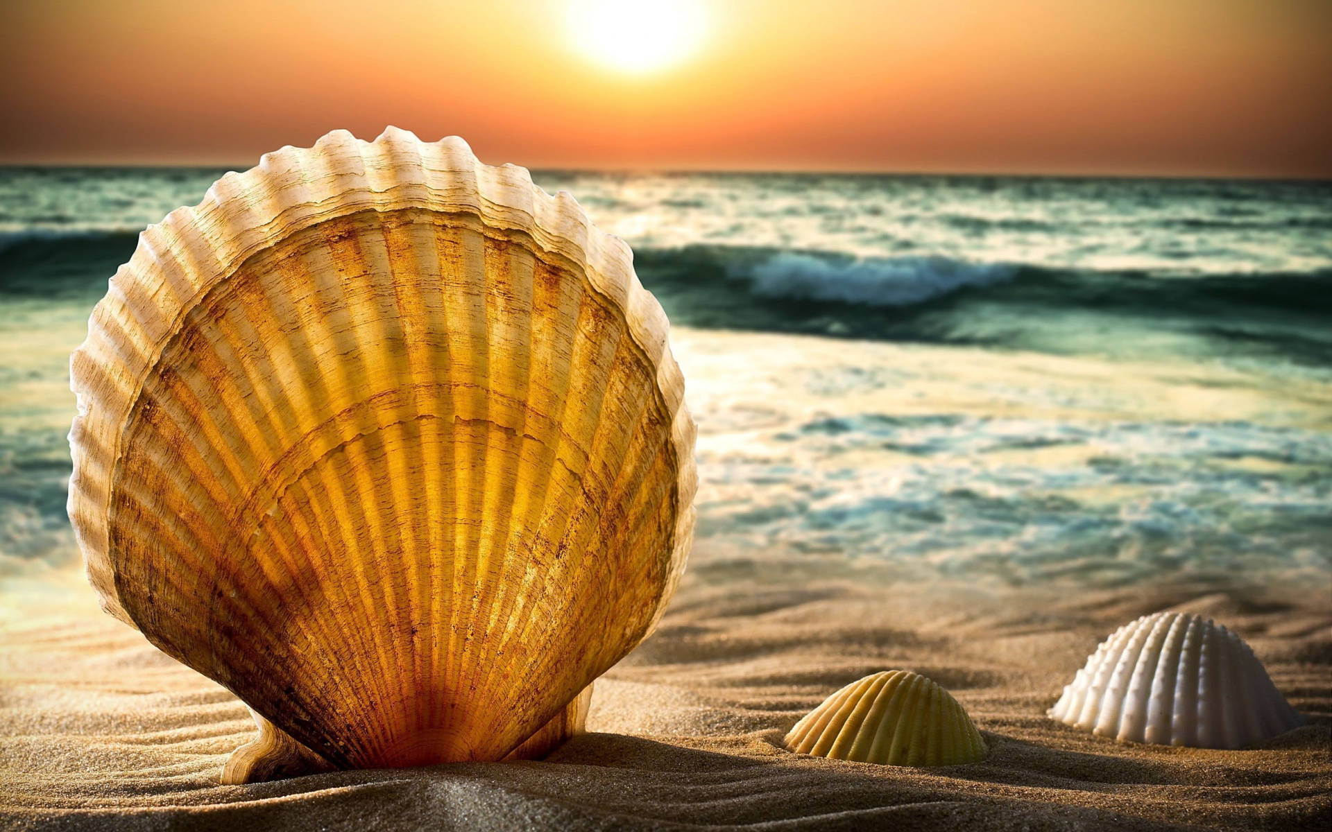 golden scallop shell, sandy beach, waves, Full HD Desktop Wallpaper