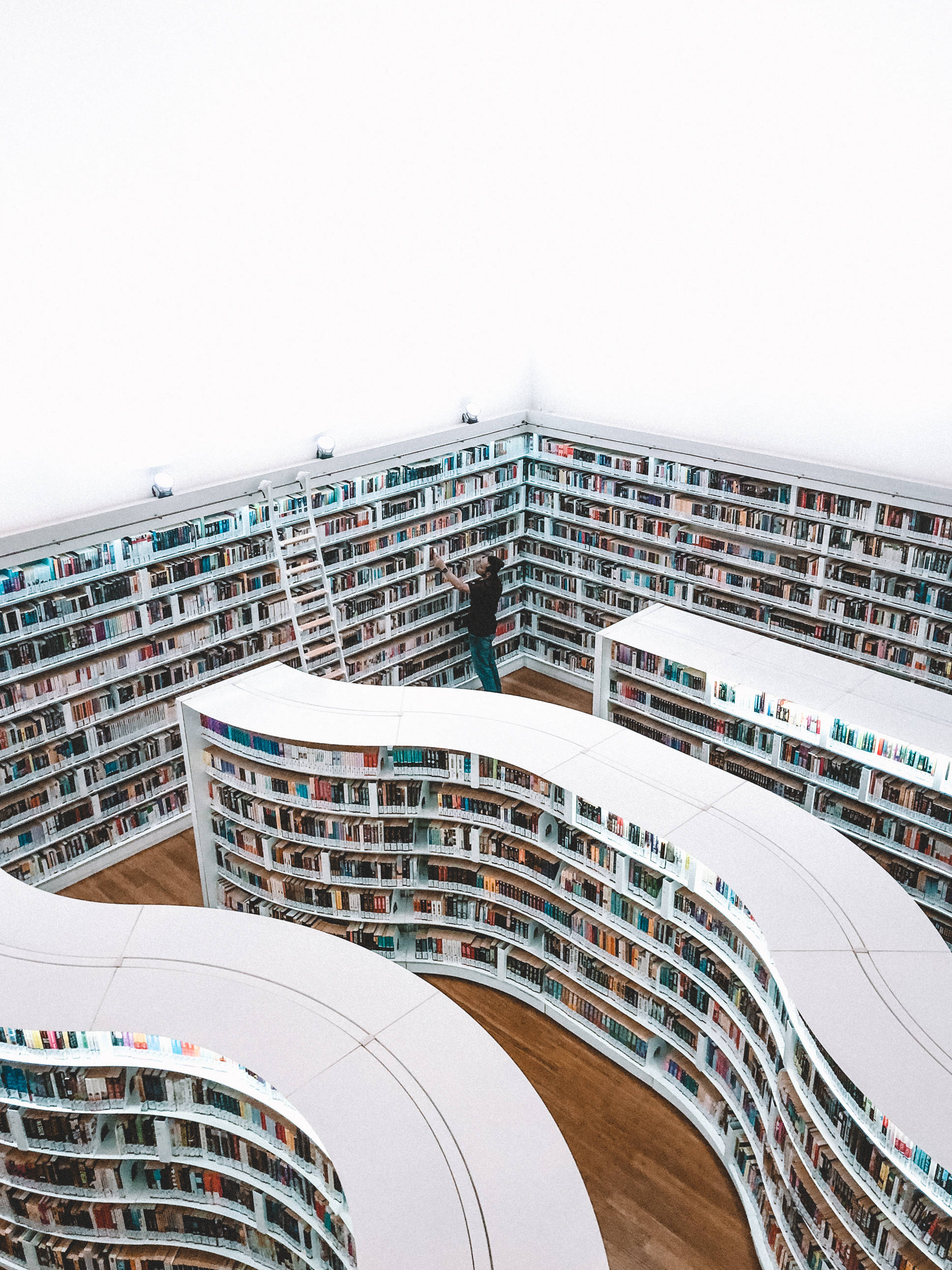 white shelves, curved white shelves, modern library, 2K Phone Wallpaper