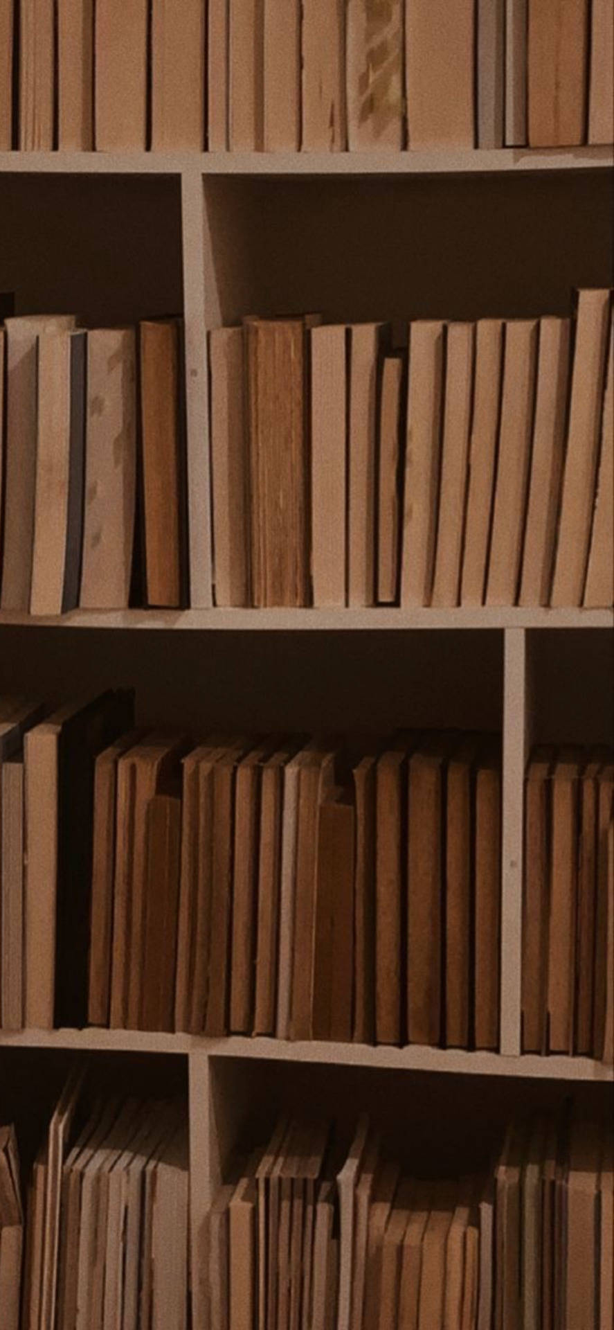 bookshelf, beige books, warm wooden, Full HD Phone Wallpaper