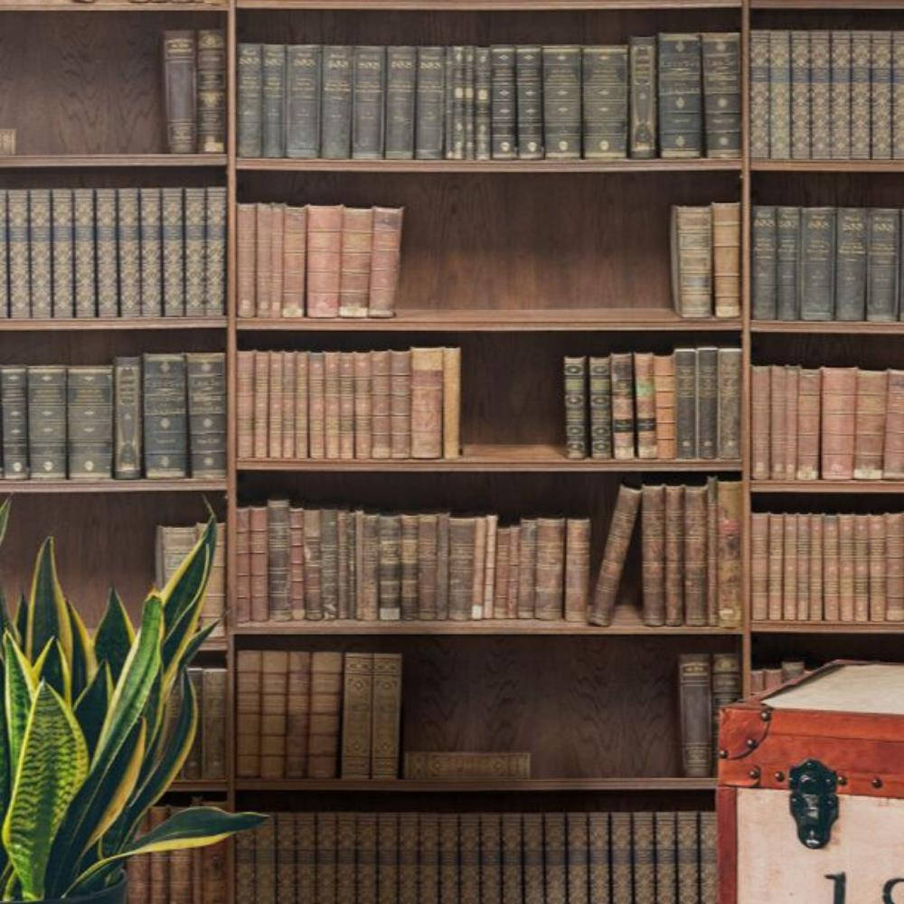 vintage library wall, wooden bookshelves, aged leather-bound books, SD Desktop Wallpaper