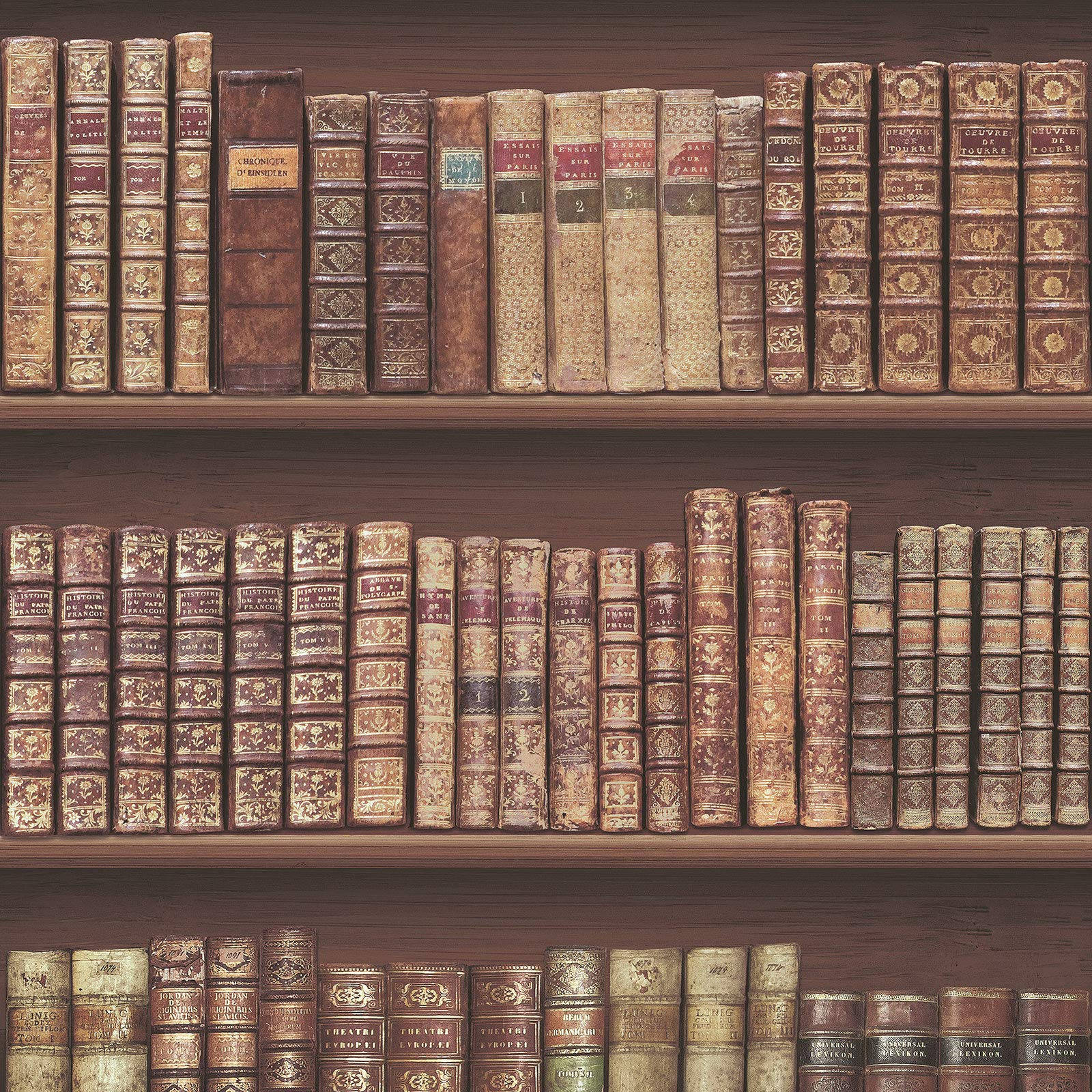 antique wooden bookshelf, vintage leather-bound books, gold embossing, HD Desktop Wallpaper