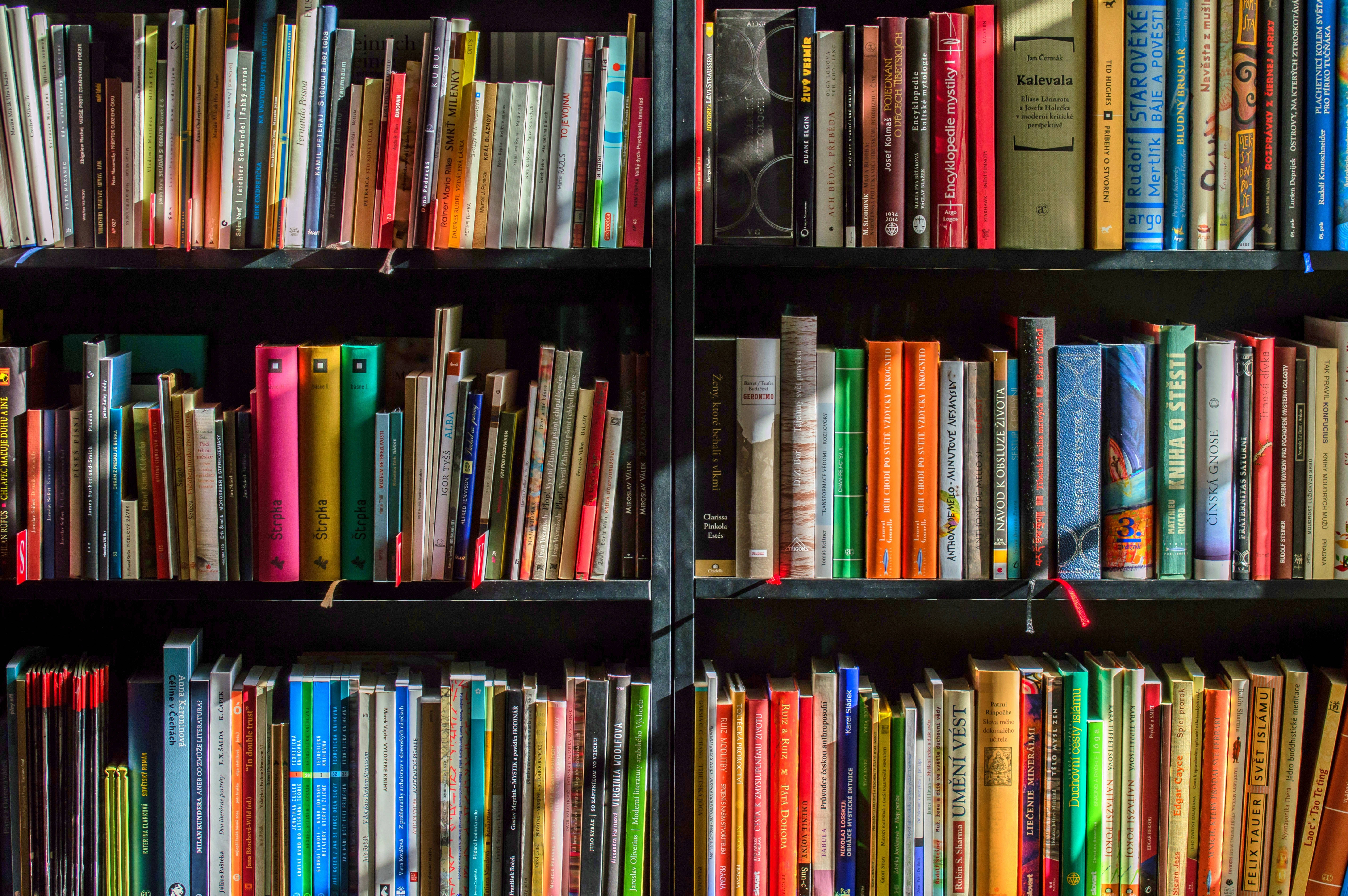 black wooden bookshelf, colorful books, dark shelves, 5K Desktop Wallpaper