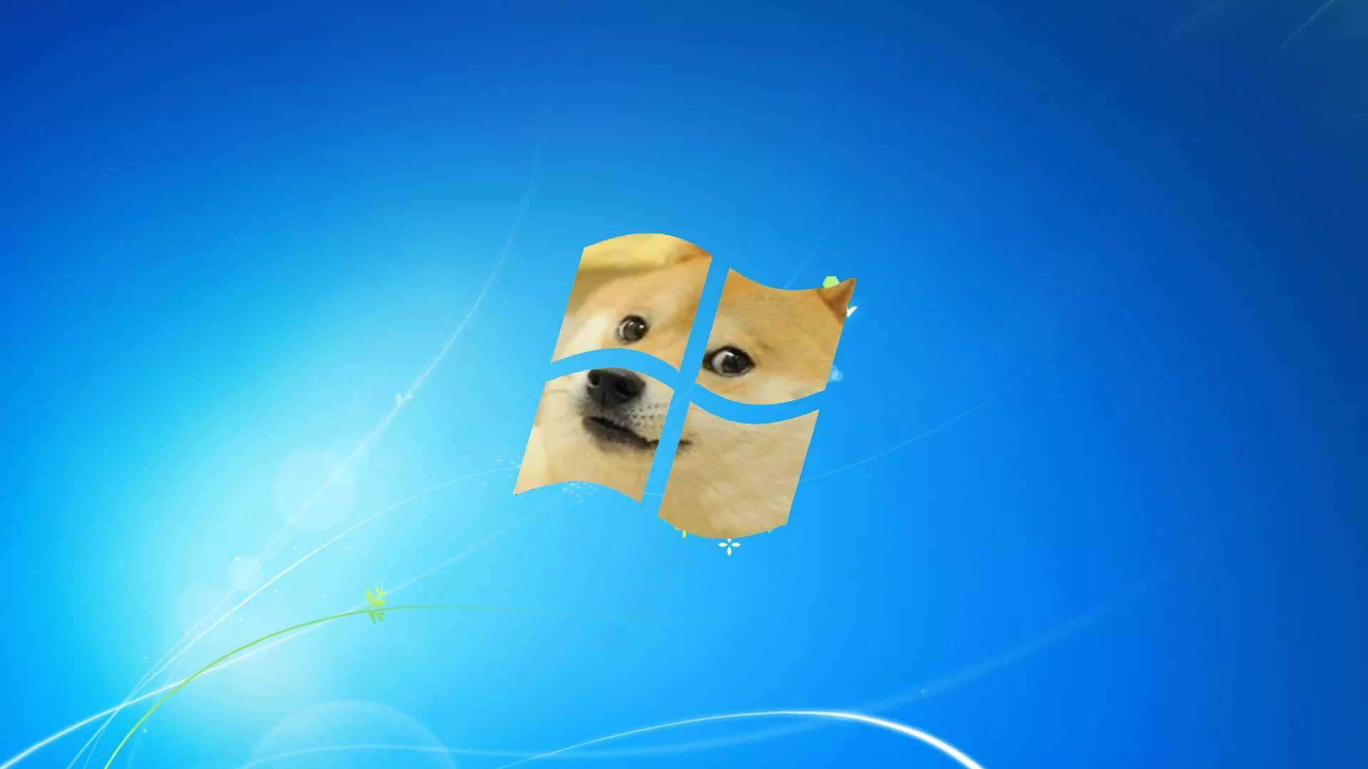 Shiba Inu, Windows logo, bright blue gradient, Full HD Desktop Wallpaper