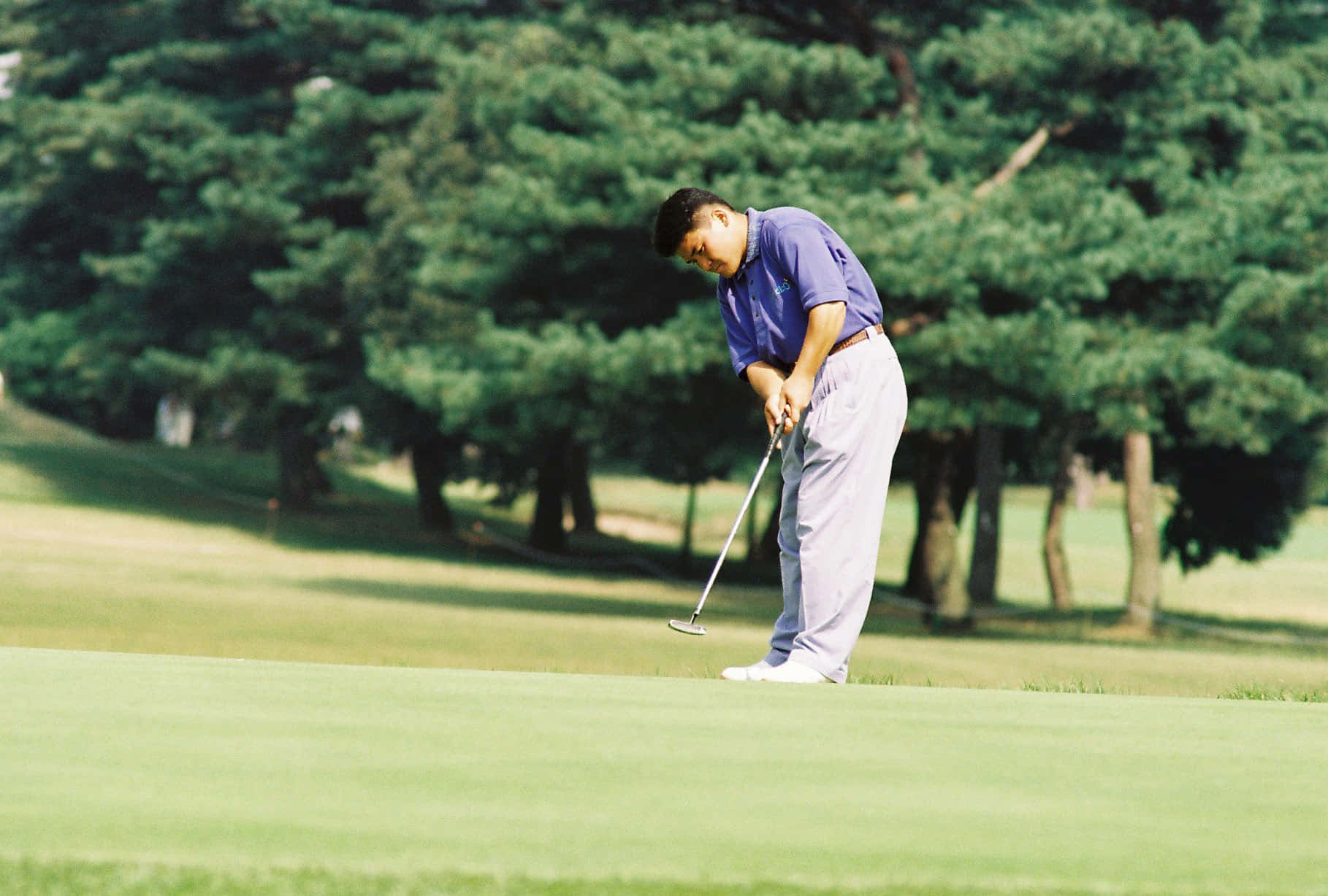 Shigeki Maruyama, steady putting pose, purple shirt, HD Desktop Wallpaper