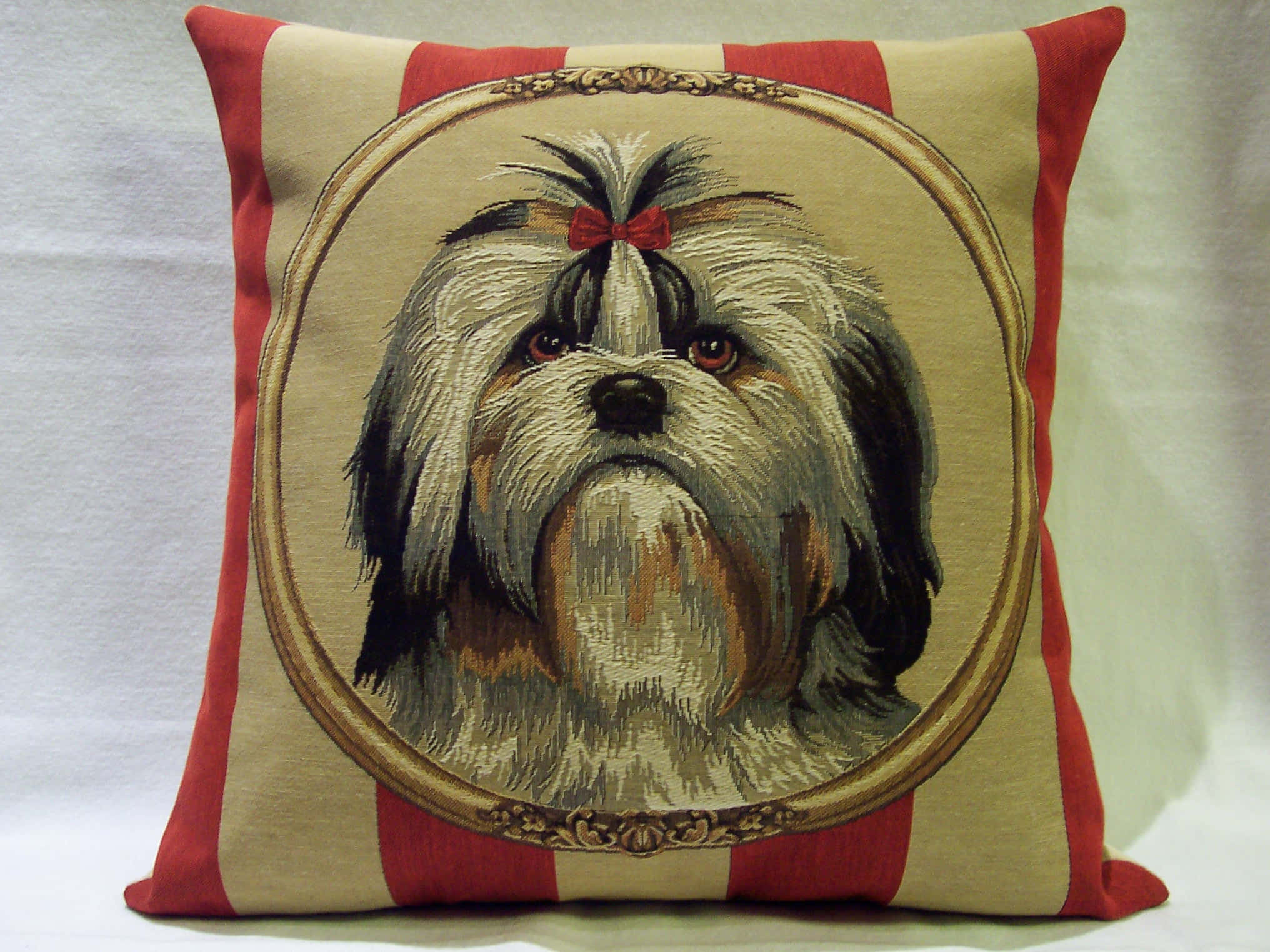 Shih Tzu, red bow, ornate gold, Full HD Desktop Wallpaper