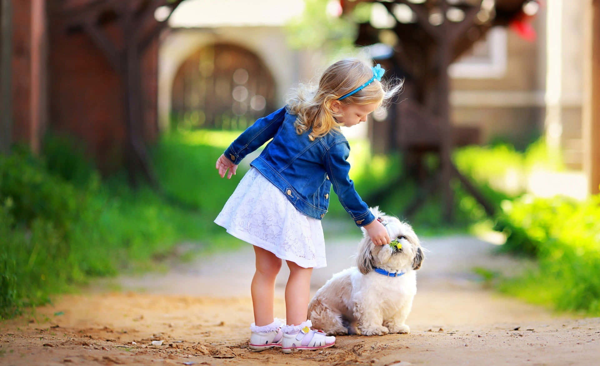 Shih Tzu, little girl, denim jacket, Full HD Desktop Wallpaper