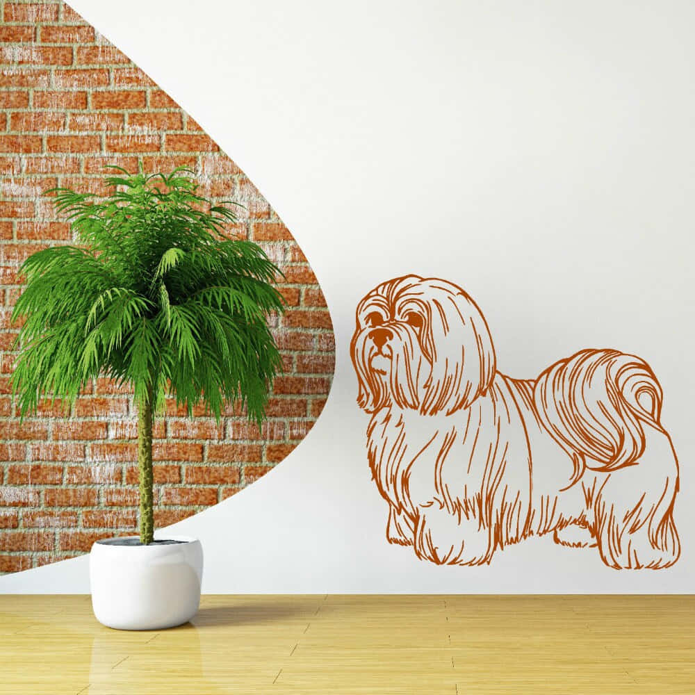 Shih Tzu, orange line drawing, white wall, SD Desktop Wallpaper