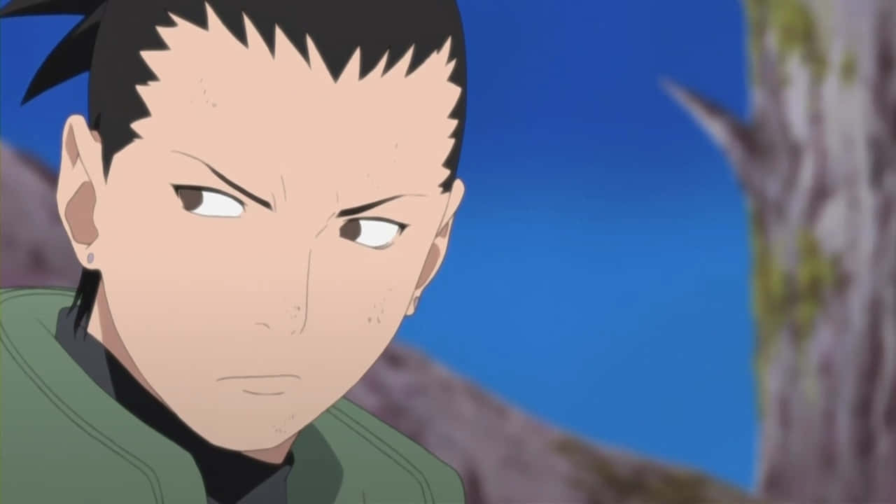 Shikamaru Nara, spiky black hair, green jacket, HD Desktop Wallpaper