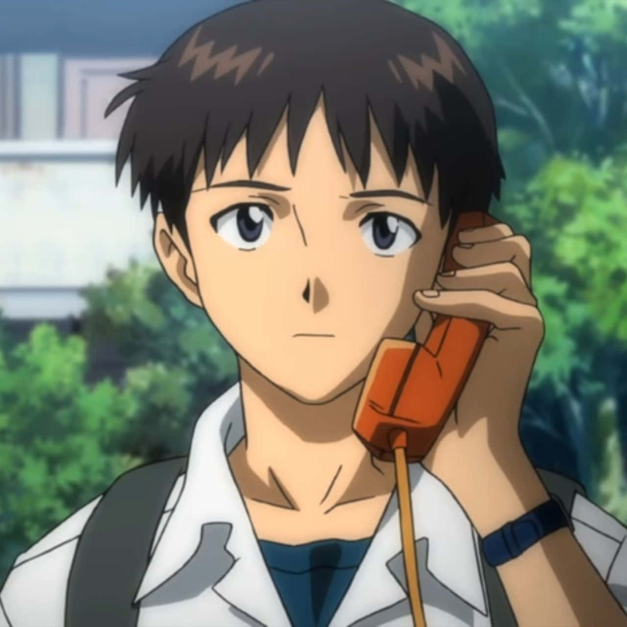 Shinji Ikari, dark hair, blue eyes, HD Desktop Wallpaper