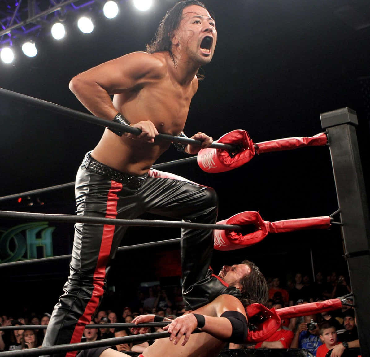 Shinsuke Nakamura, ring, top rope, SD Desktop Wallpaper
