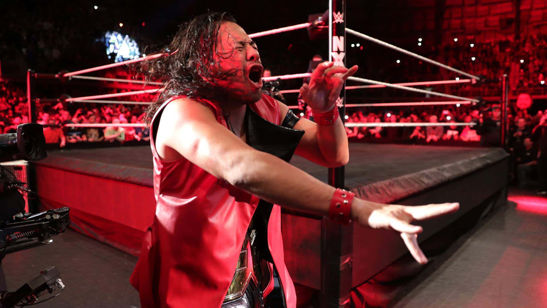 Shinsuke Nakamura, rock horns, red vest, Full HD Desktop Wallpaper