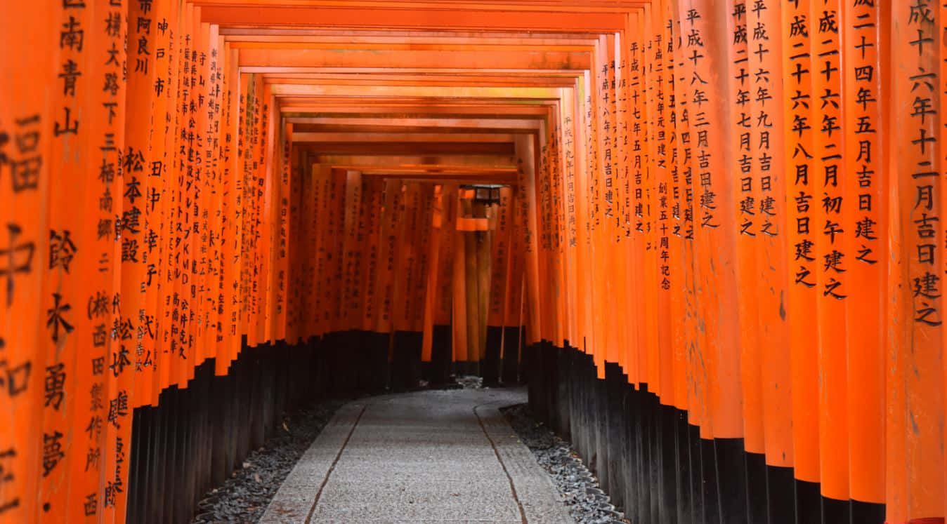 Shinto, torii gates, gravel path, HD Desktop Wallpaper