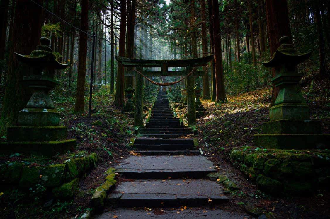 Shinto, mossy stone path, misty forest, SD Desktop Wallpaper