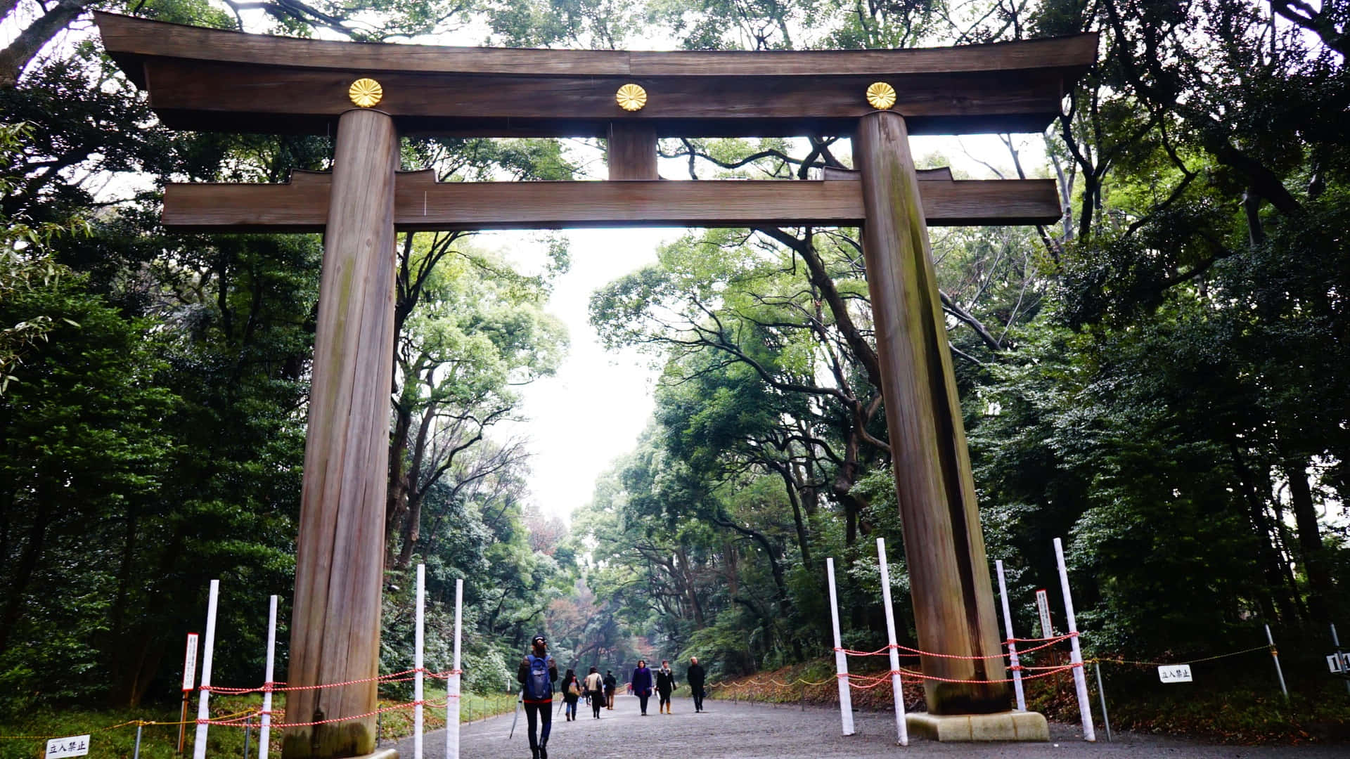 Shinto, torii gate, wooden torii gate, Full HD Desktop Wallpaper