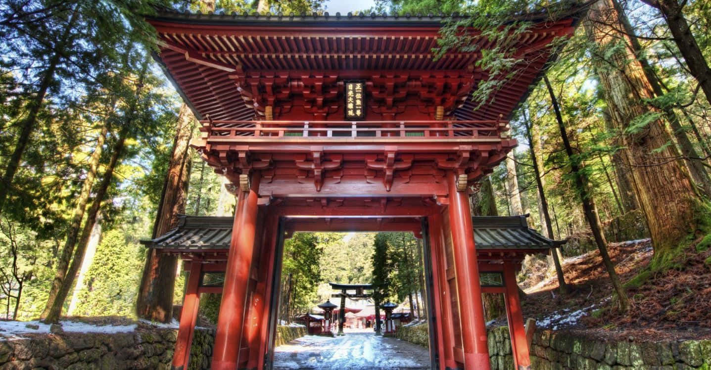 Shinto, torii gate, sunlit forest, HD Desktop Wallpaper