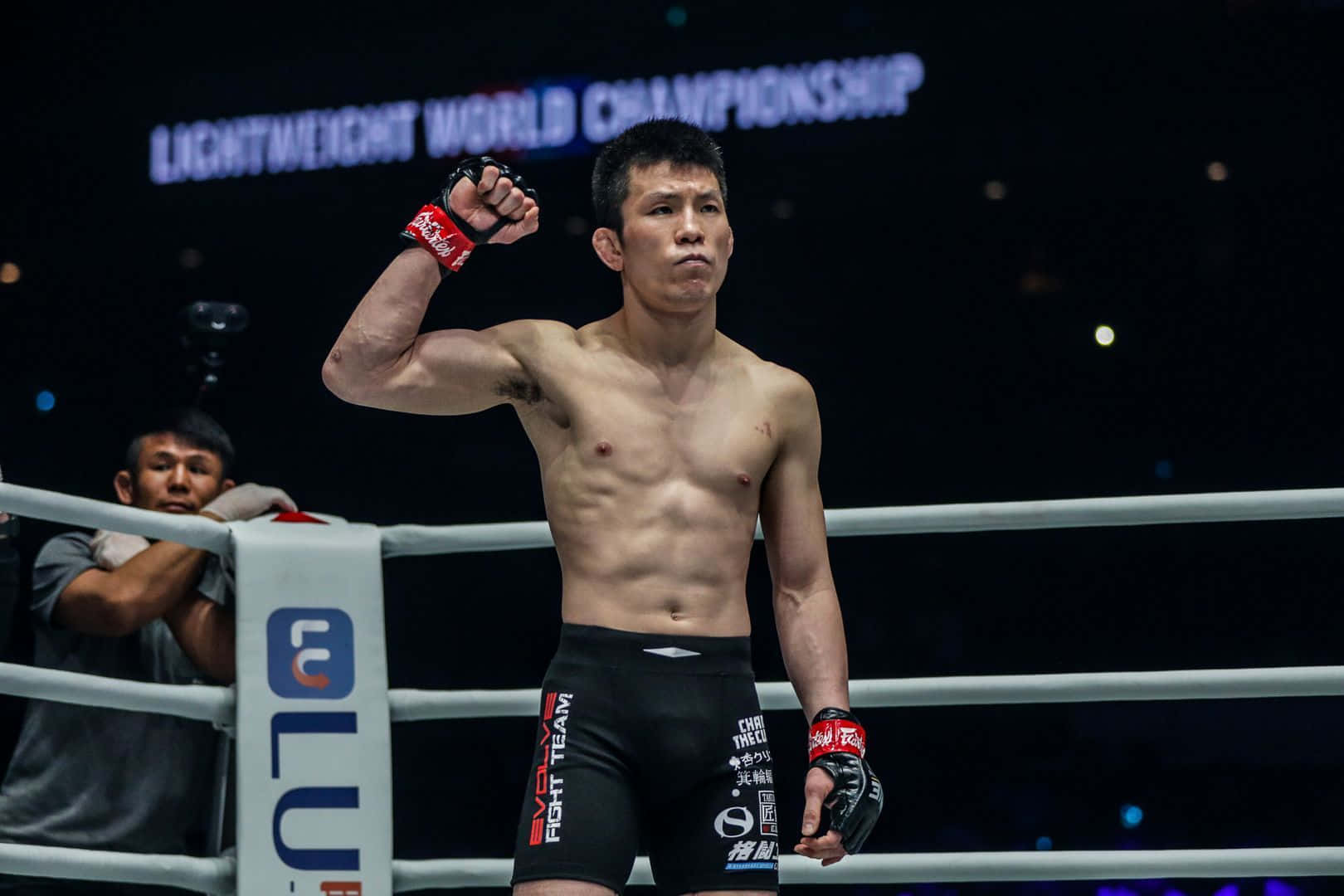 Shinya Aoki, lightweight world championship, MMA ring, HD Desktop Wallpaper