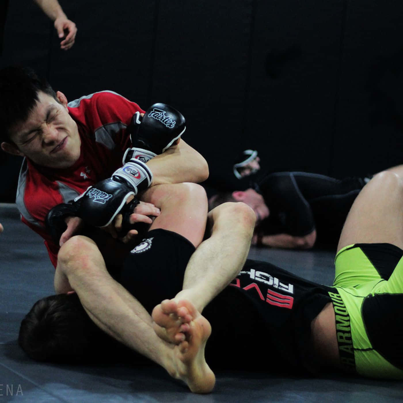 Shinya Aoki, jiu jitsu, leg lock, HD Desktop Wallpaper