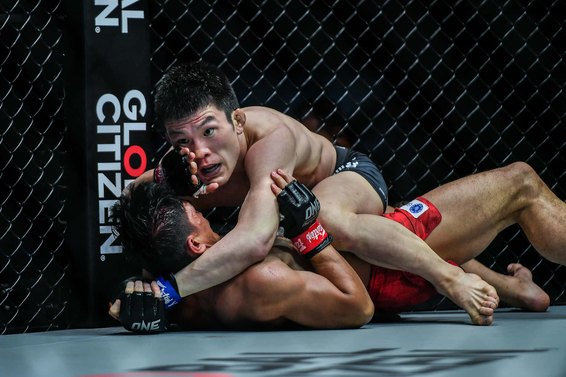 Shinya Aoki, mat, black chain-link cage, Full HD Desktop Wallpaper