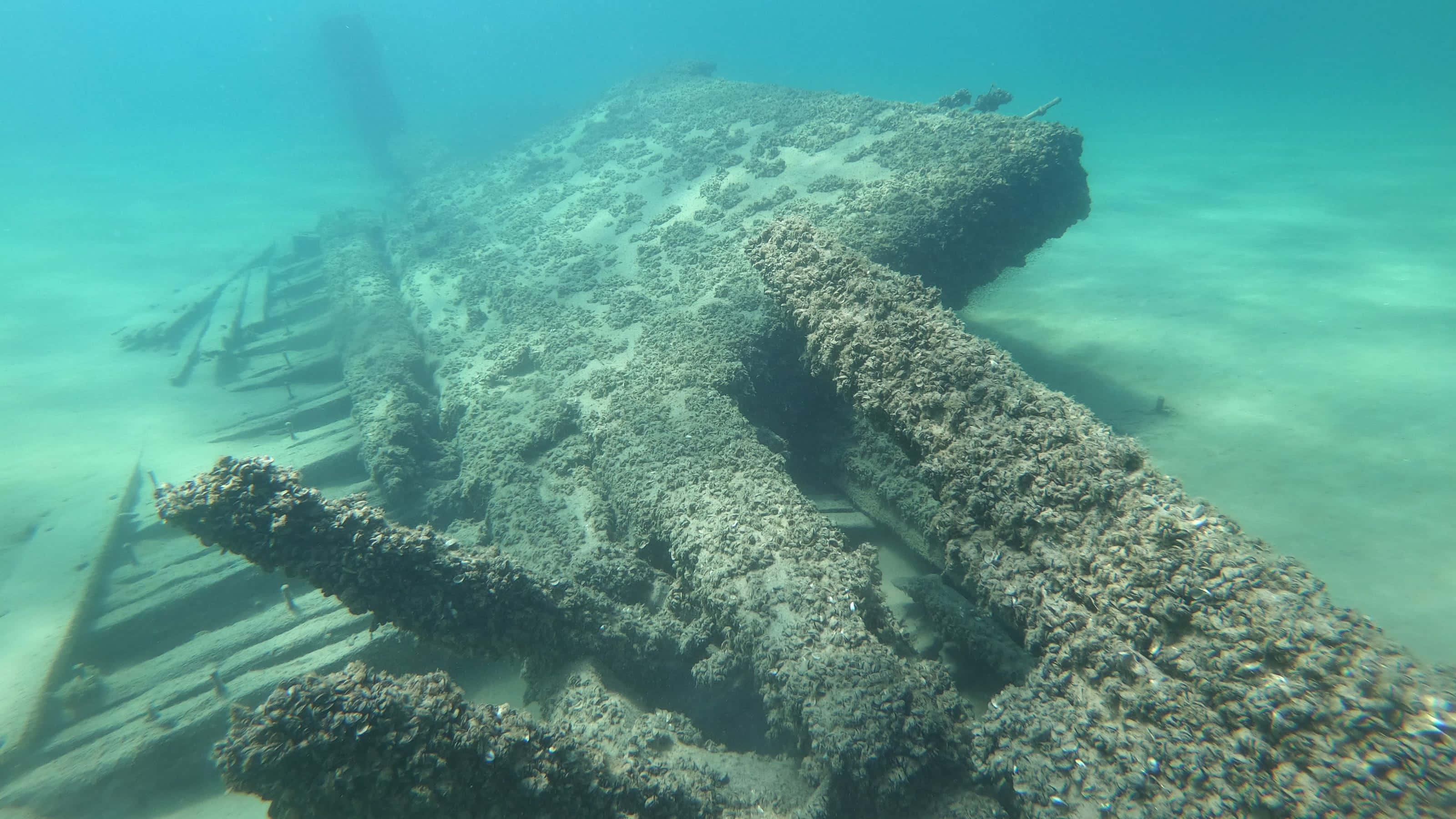 shipwreck, coral, marine life, 2K Desktop Wallpaper