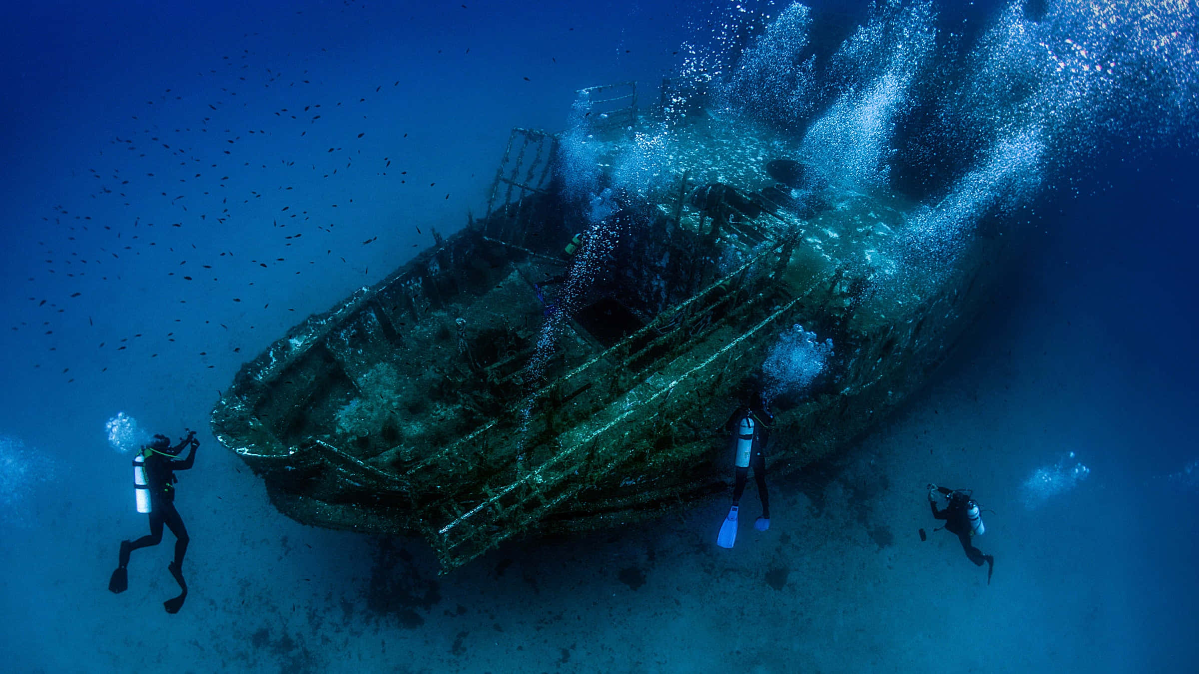 sunken ship, scuba divers, fish, Full HD Desktop Wallpaper