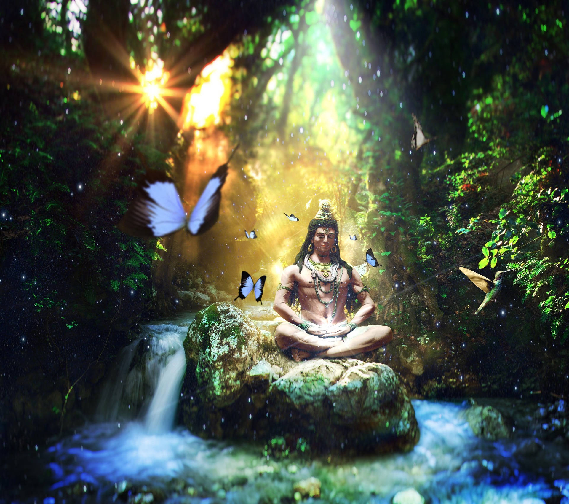 Shiv Shankar, forest, mossy rock, Full HD Desktop Wallpaper