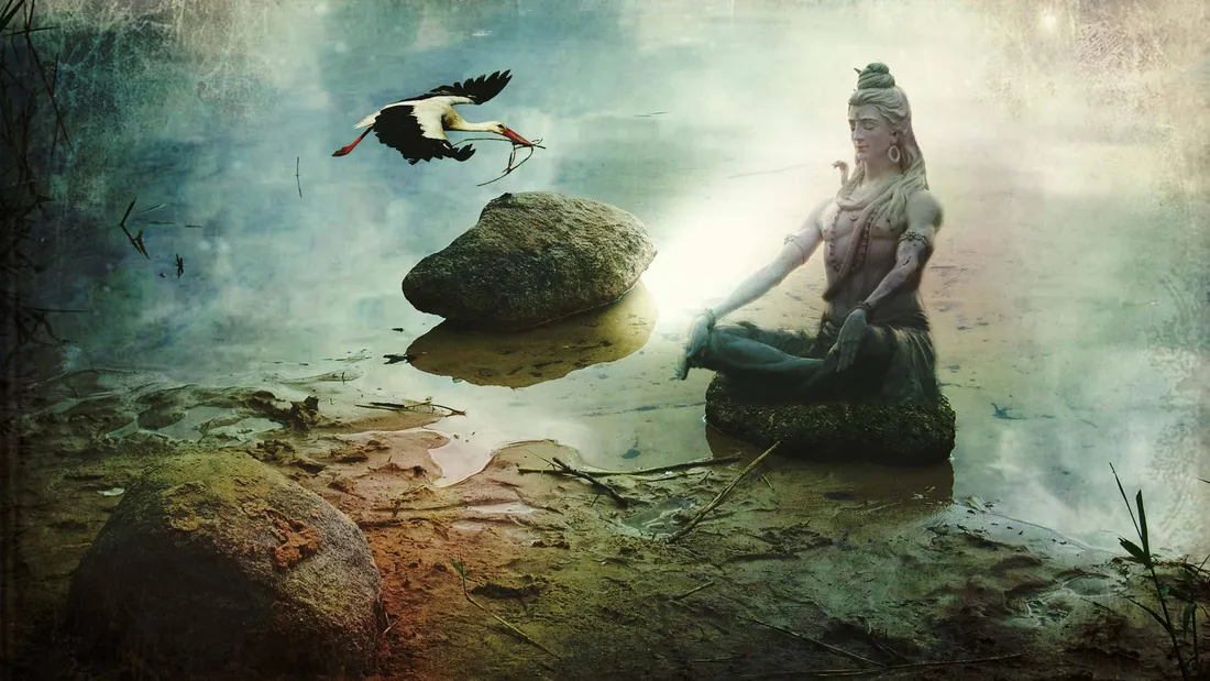 Shiva Black