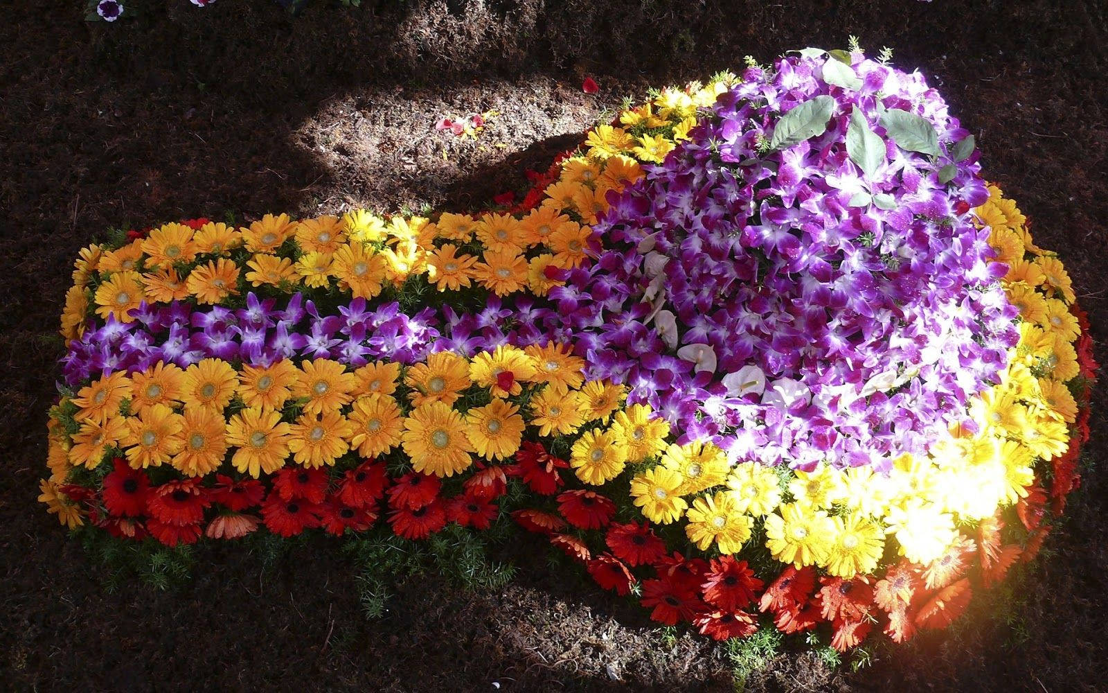 Shiva Lingam, purple yellow and red flowers, coffin shape, HD Desktop Wallpaper