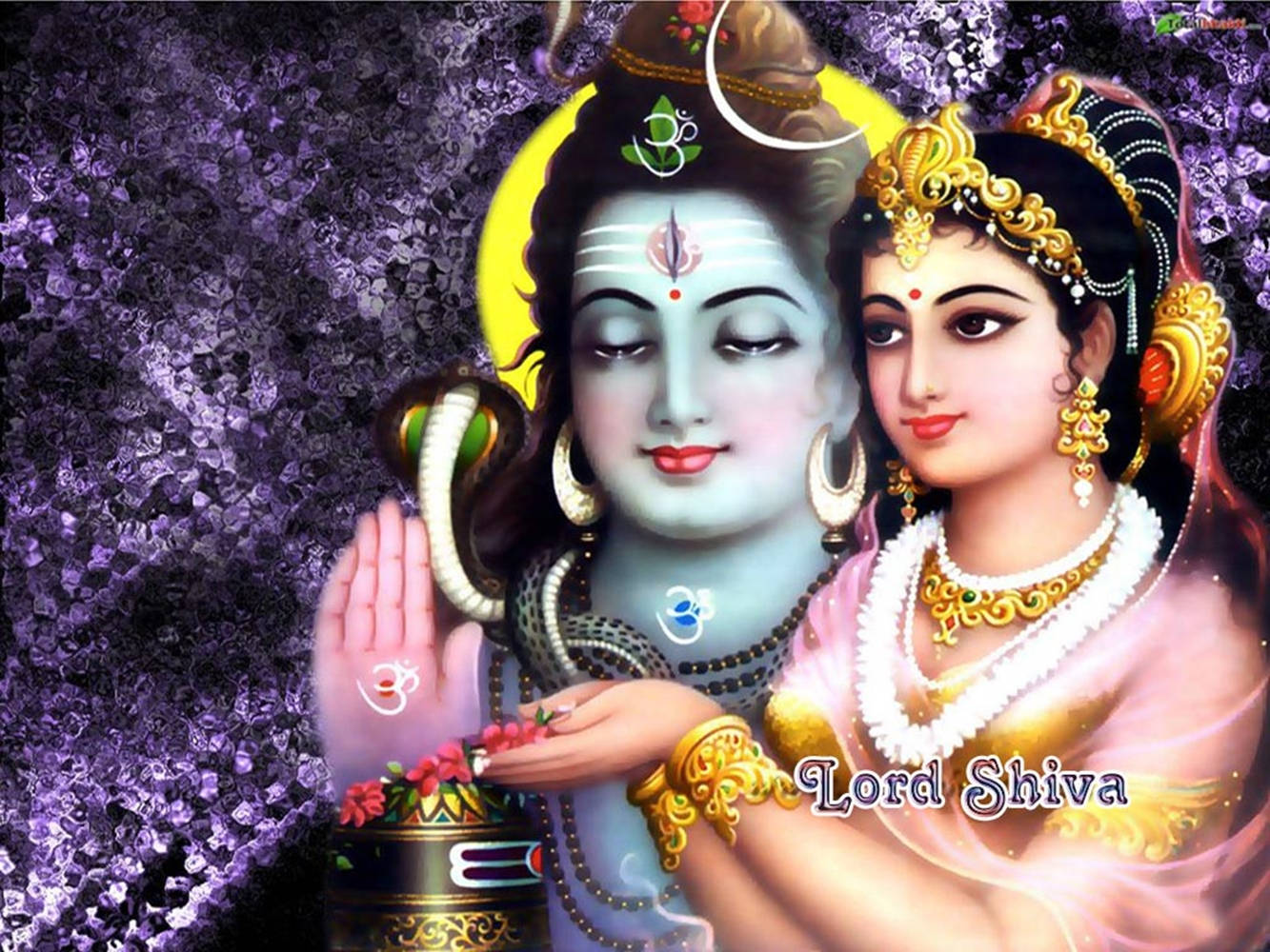 Shiva Parvati, purple backdrop, ornate jewelry, HD Desktop Wallpaper