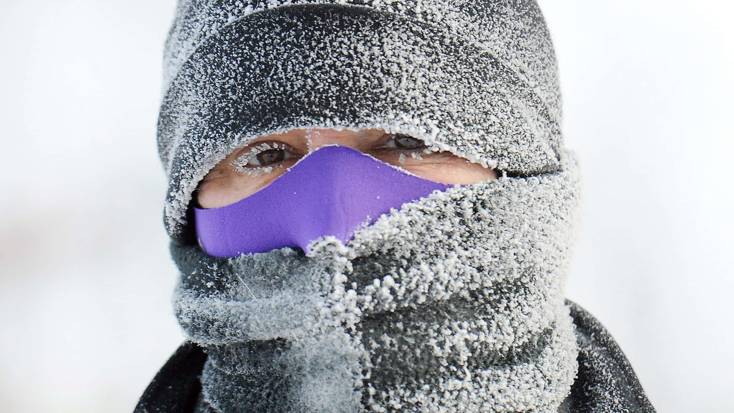 shivering person, frost-covered face, purple mask, Full HD Desktop Wallpaper