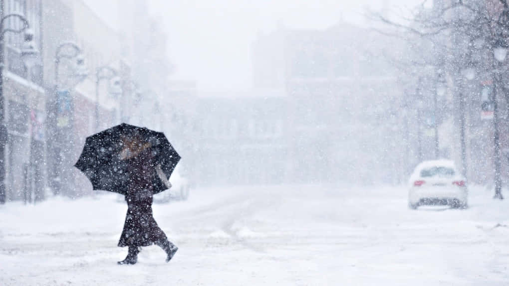 Shivering, person, black umbrella, SD Desktop Wallpaper