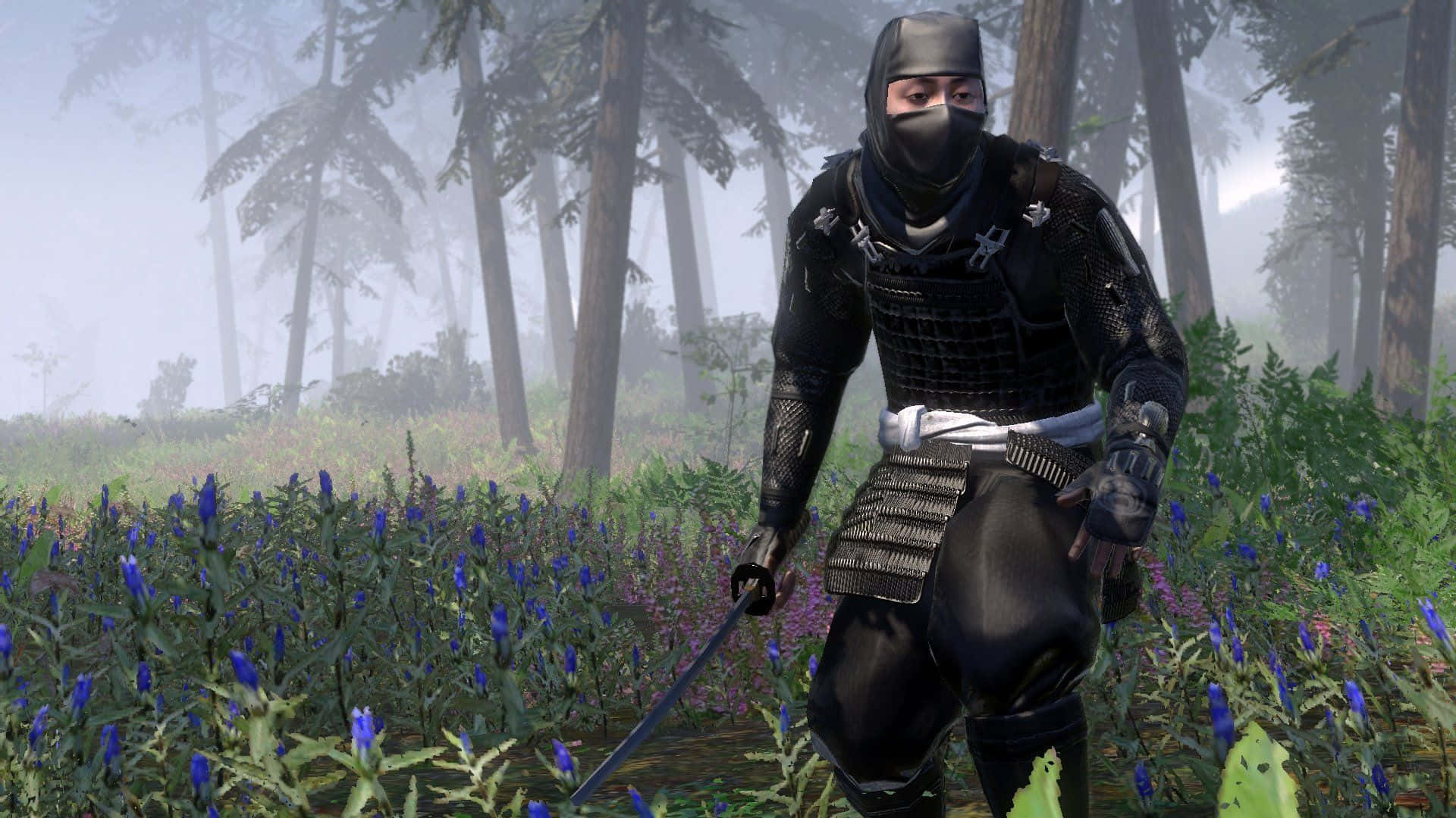 Shogun Total War, masked ninja, black armor, Full HD Desktop Wallpaper