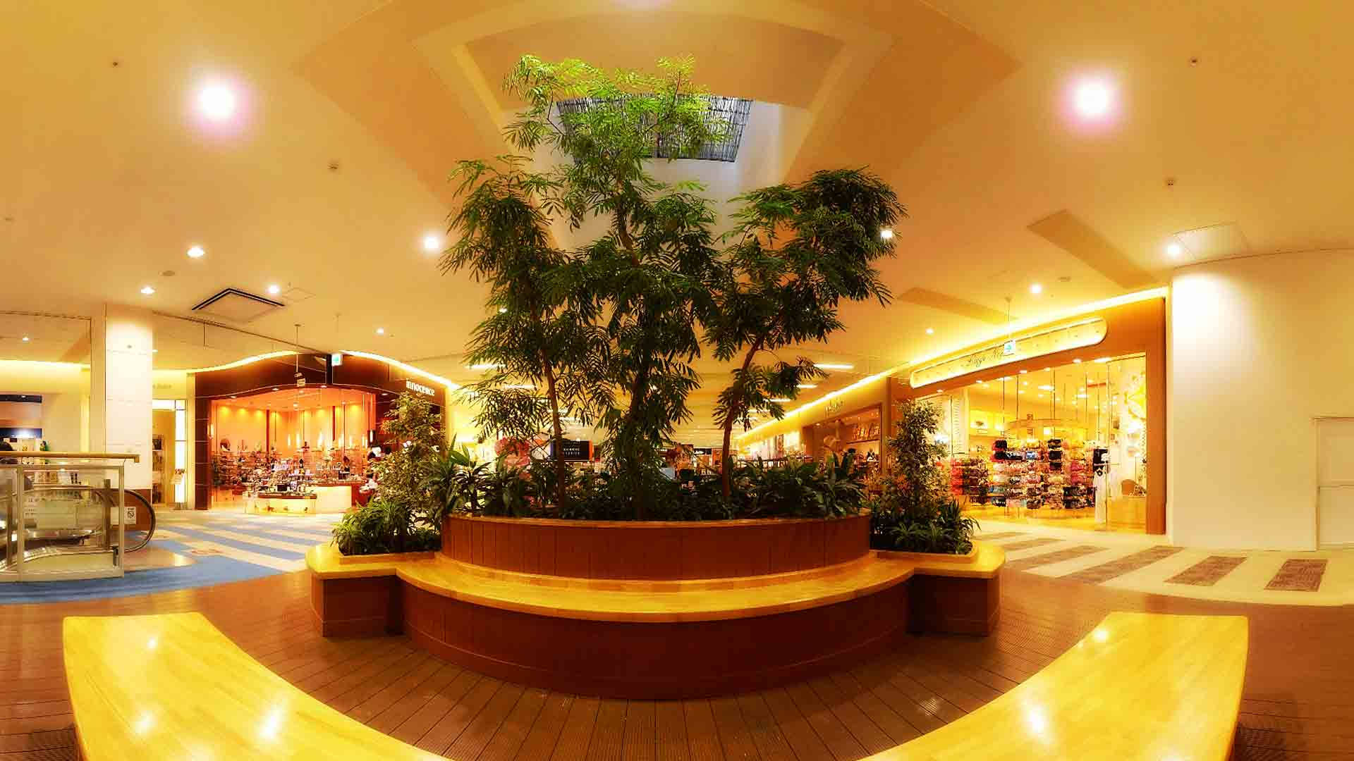 indoor mall atrium, central wooden planter, lush green trees, Full HD Desktop Wallpaper
