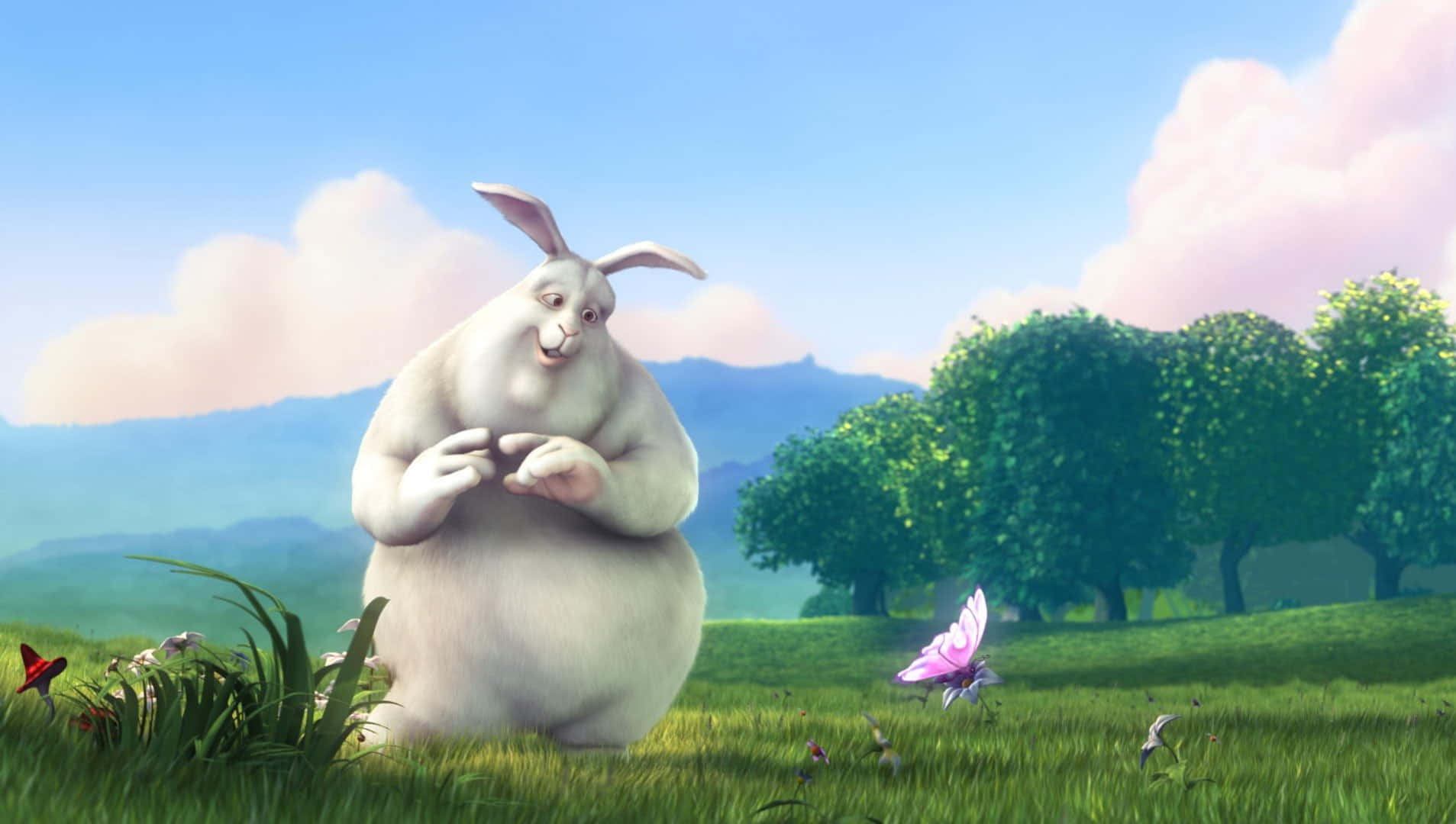 short film, 1907 x 1080, chubby white rabbit, HD Desktop Wallpaper