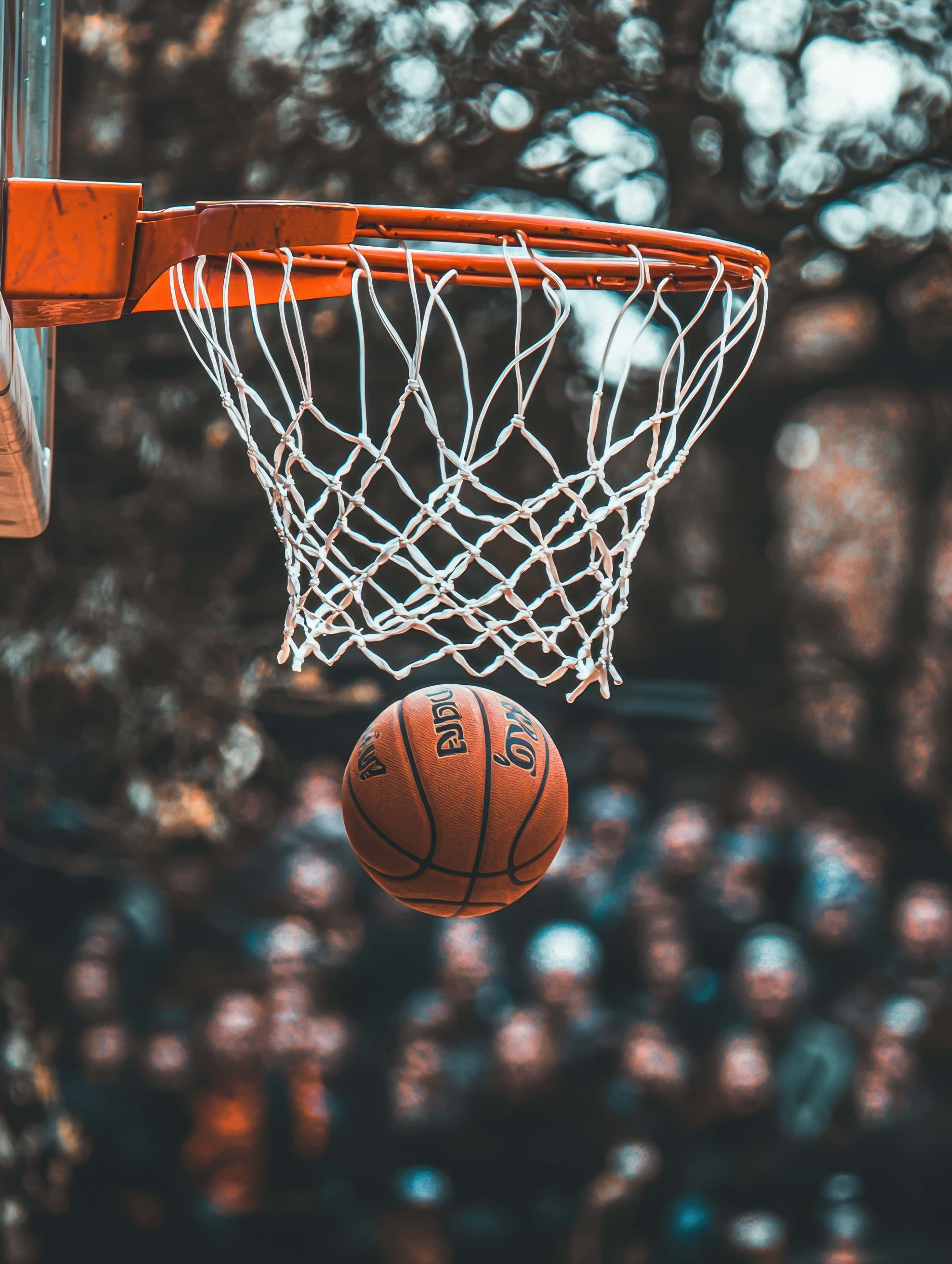basketball, orange hoop, white net, 2K Phone Wallpaper