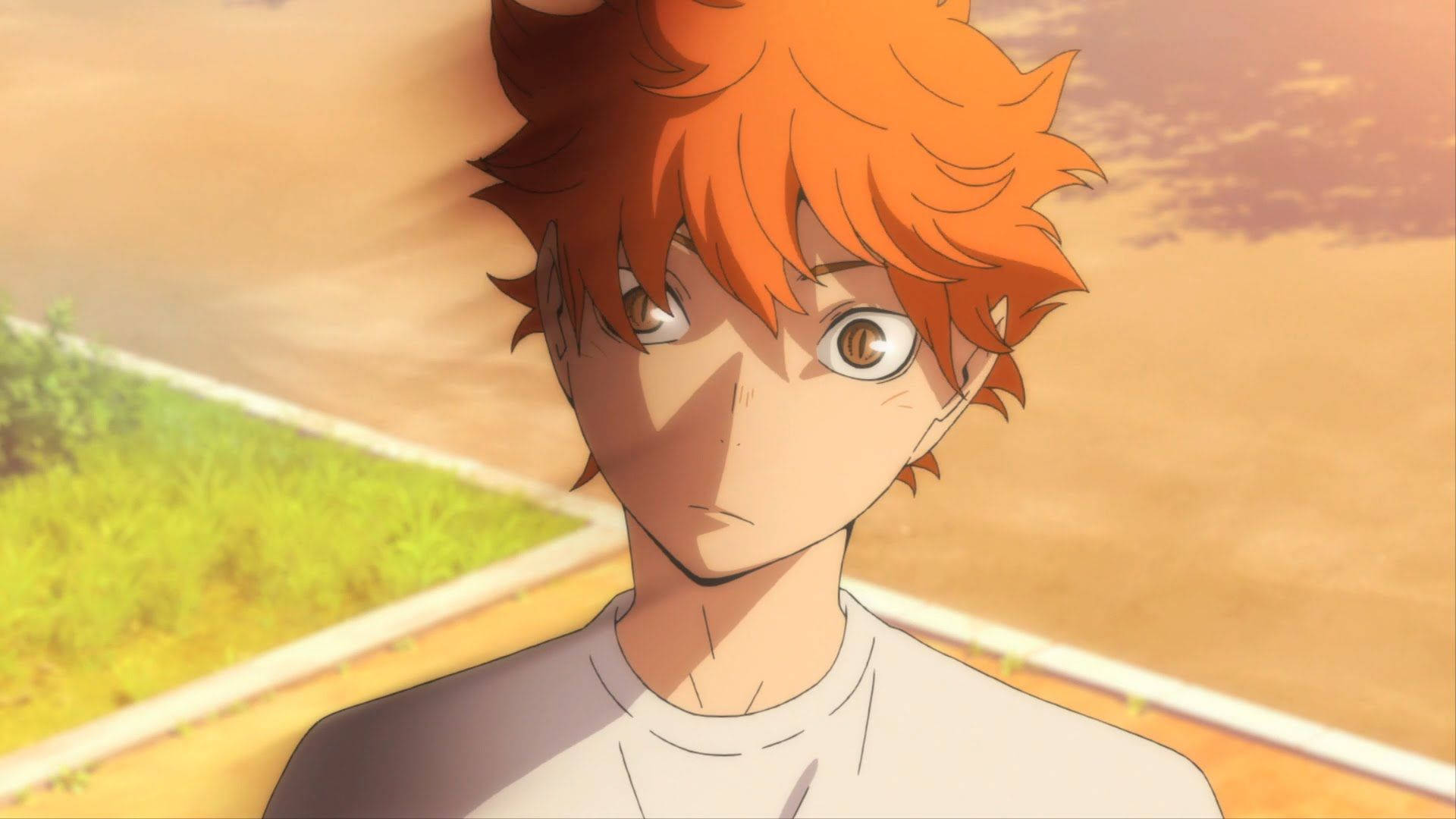 Shoyo Hinata, spiky orange hair, intense eyes, Full HD Desktop Wallpaper