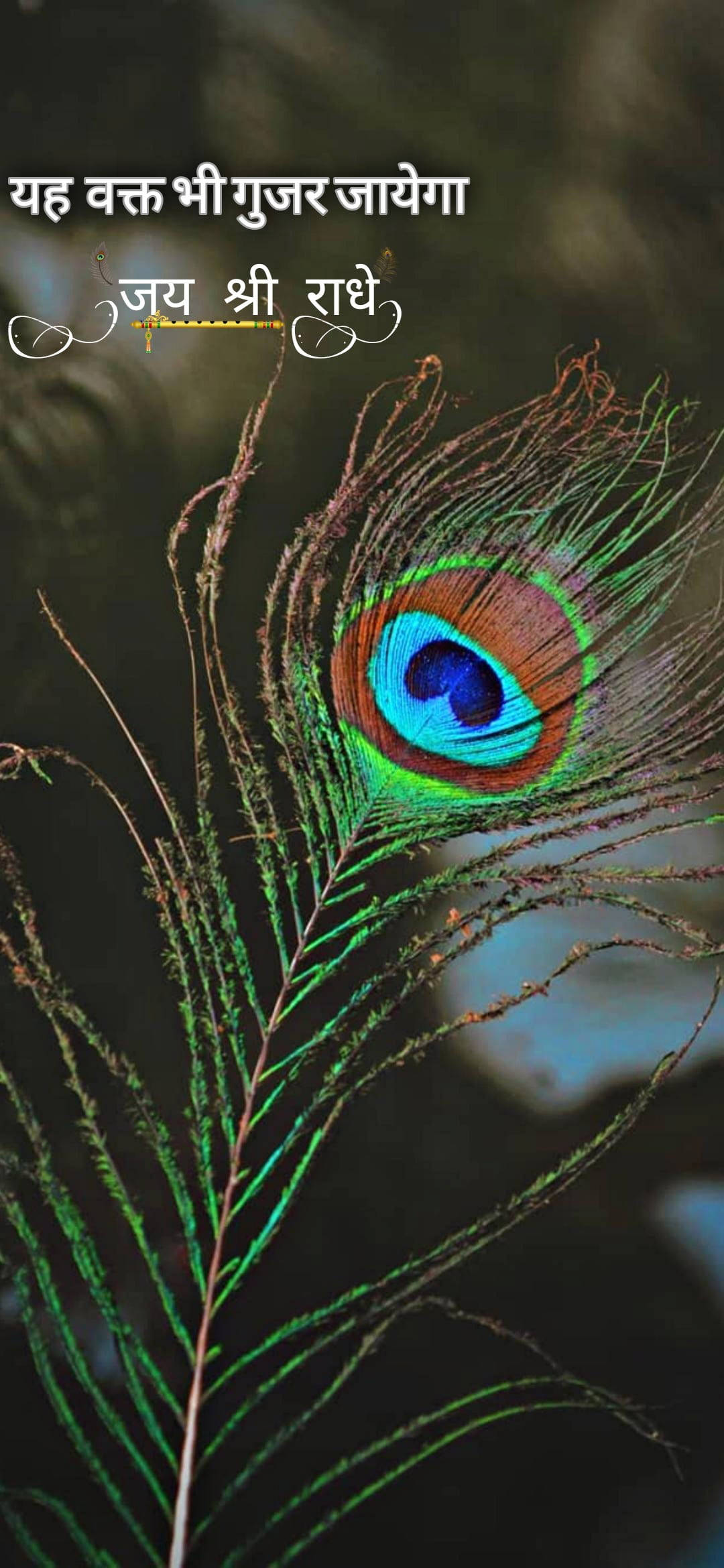 Shree Ram, peacock feather, iridescent blue green, Full HD Phone Wallpaper