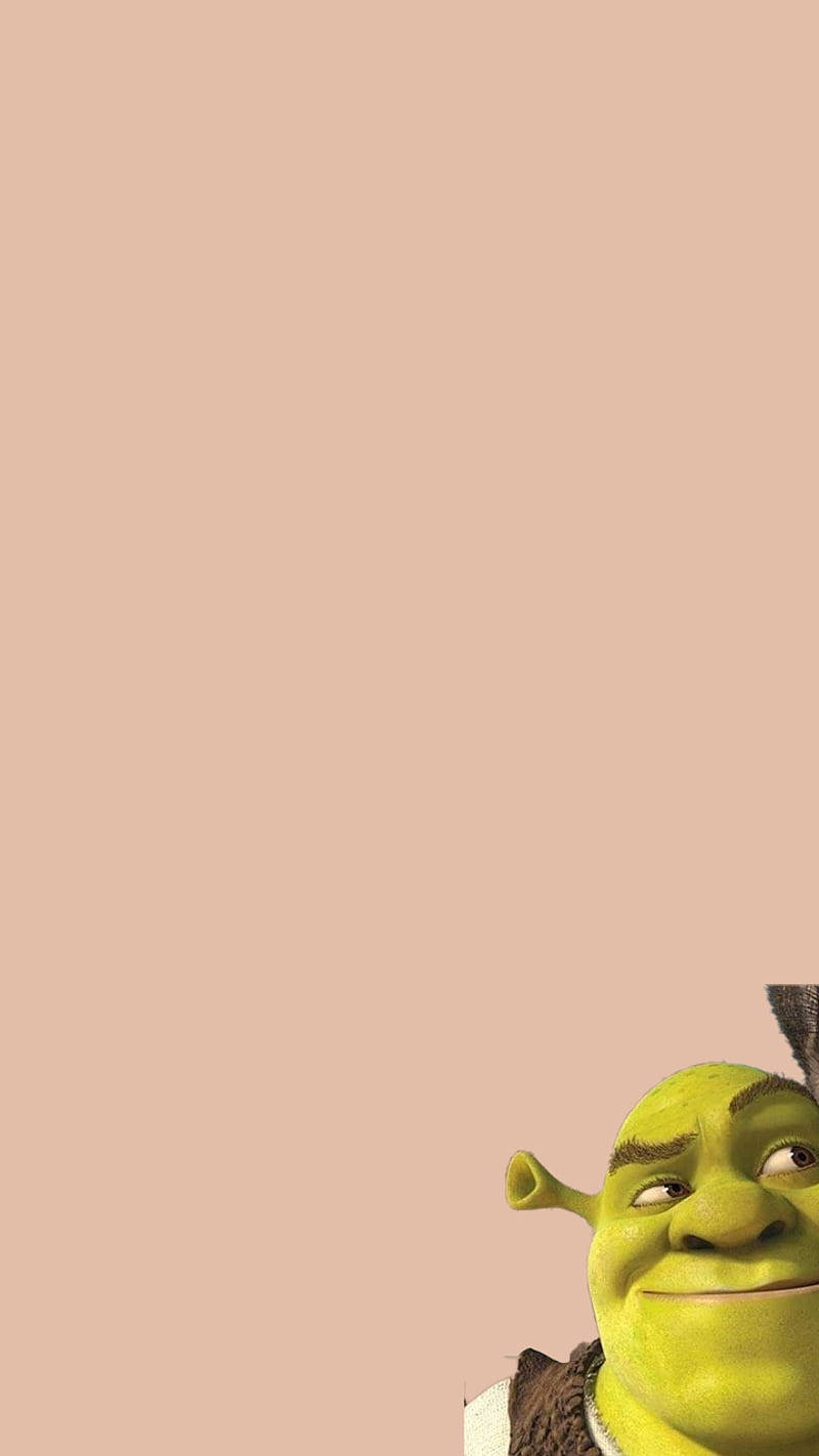 Shrek 2, Shrek, green face, HD Phone Wallpaper