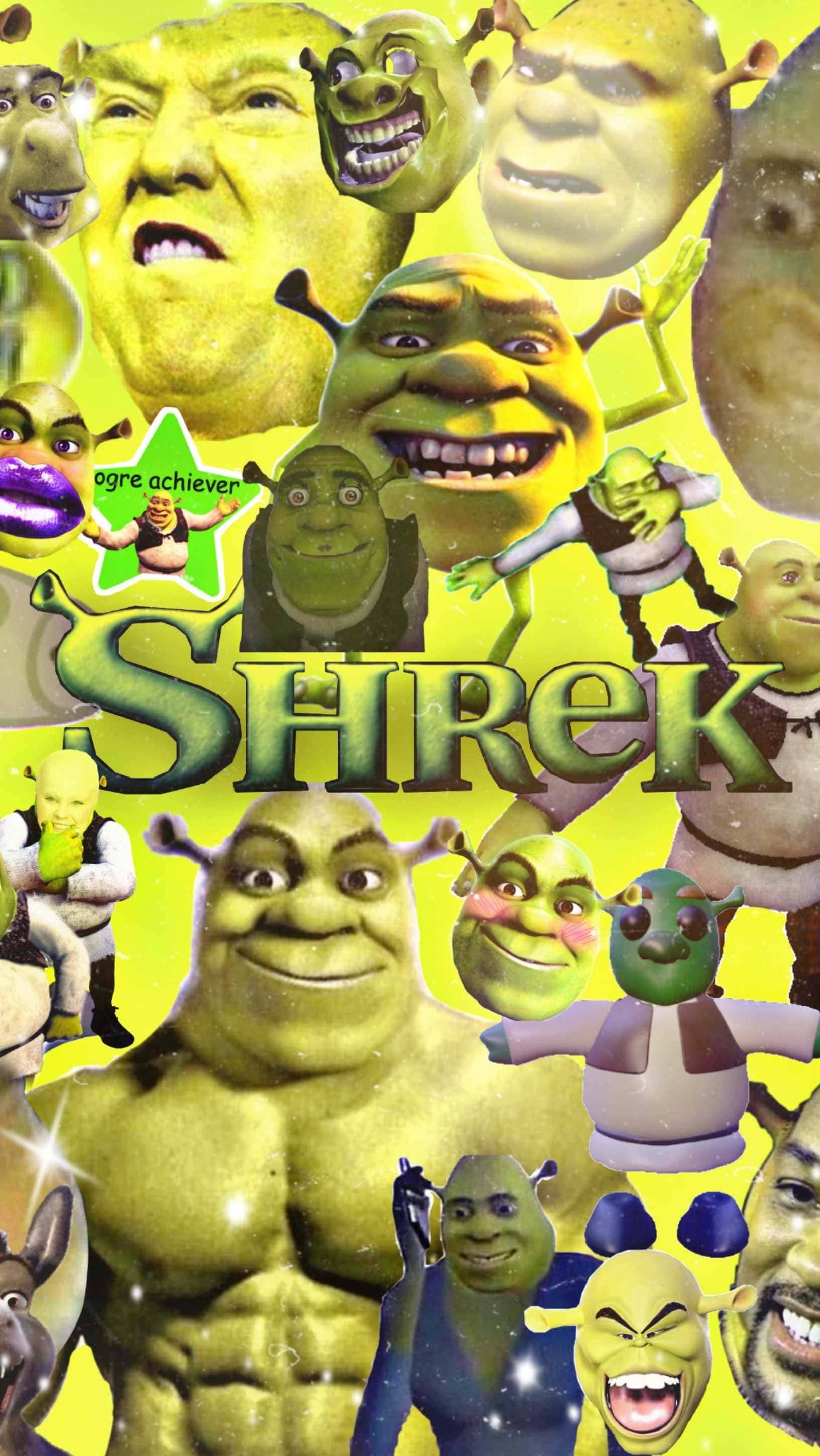 Shrek, bizarre shrek collage, vibrant collage, 2K Phone Wallpaper